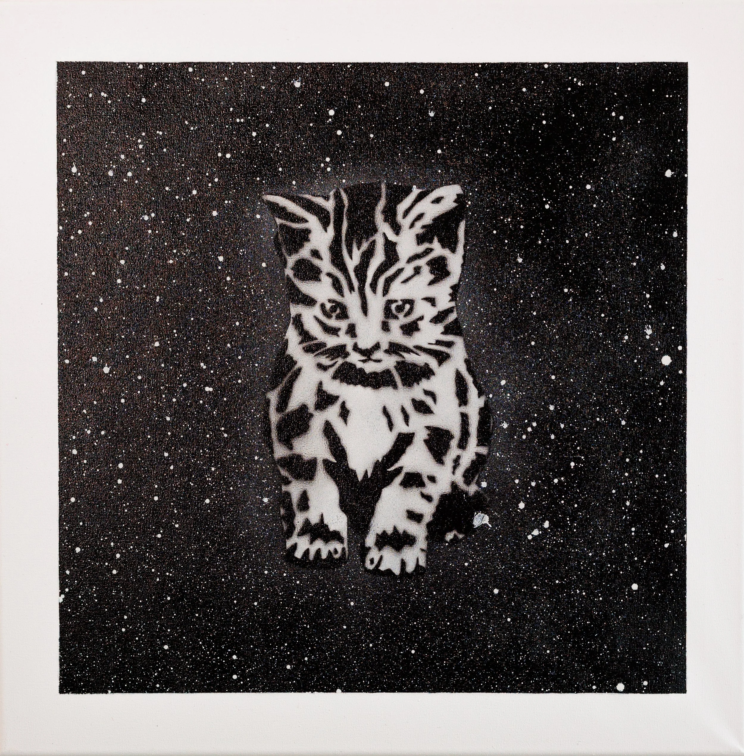 Star Kitty