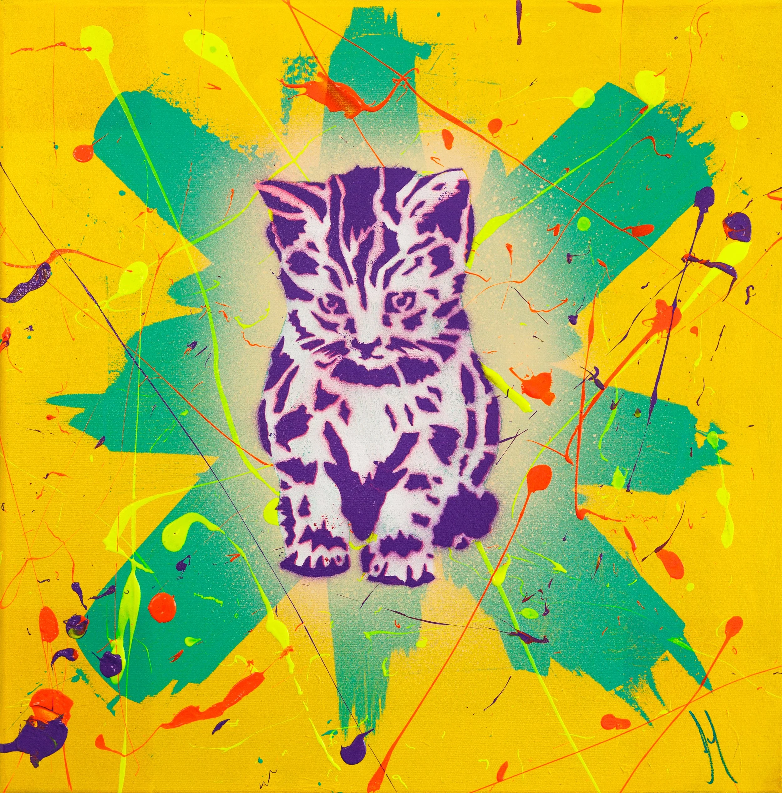 Kitty Konfusion