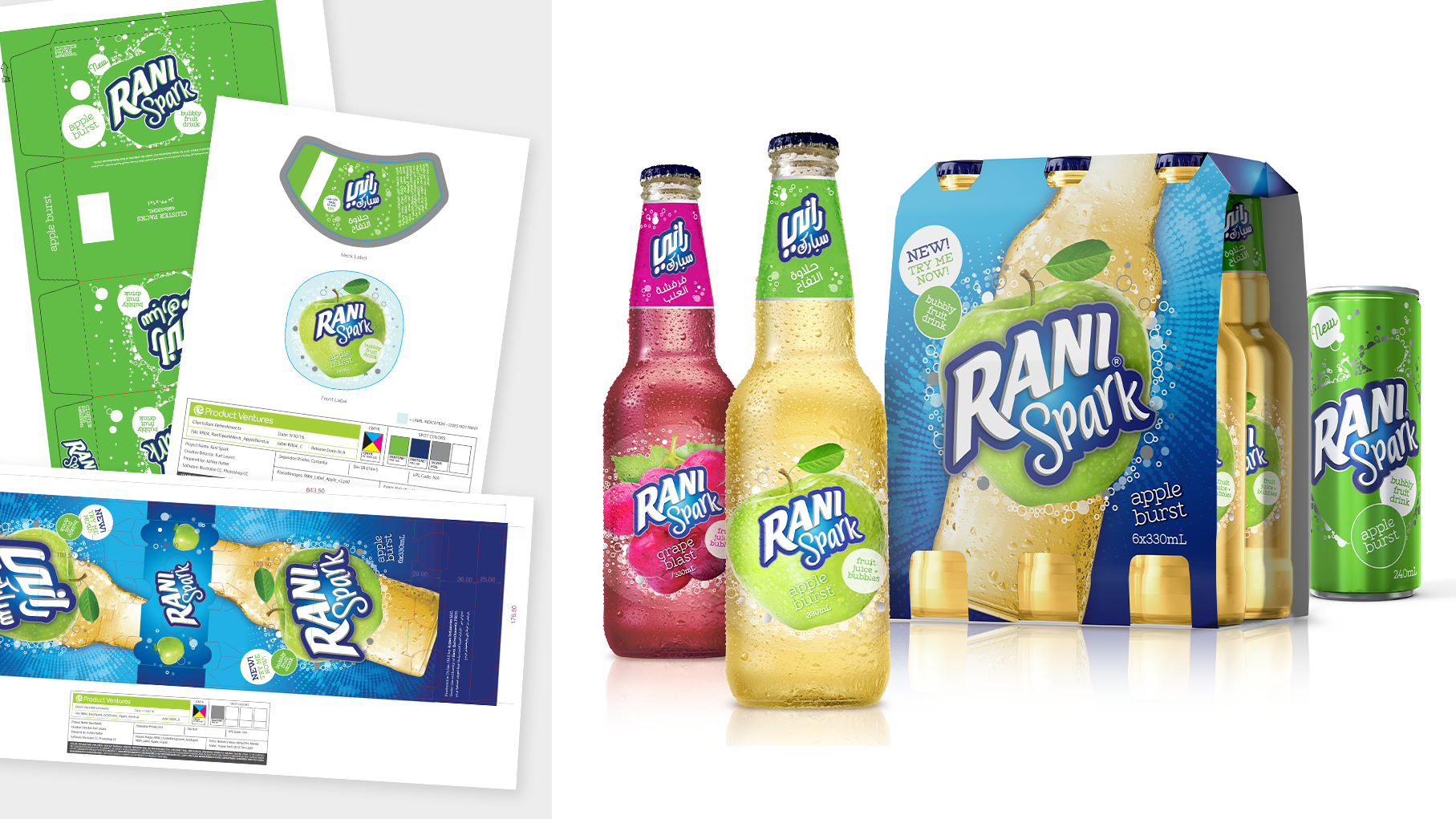 RaniSpark_Carton.png