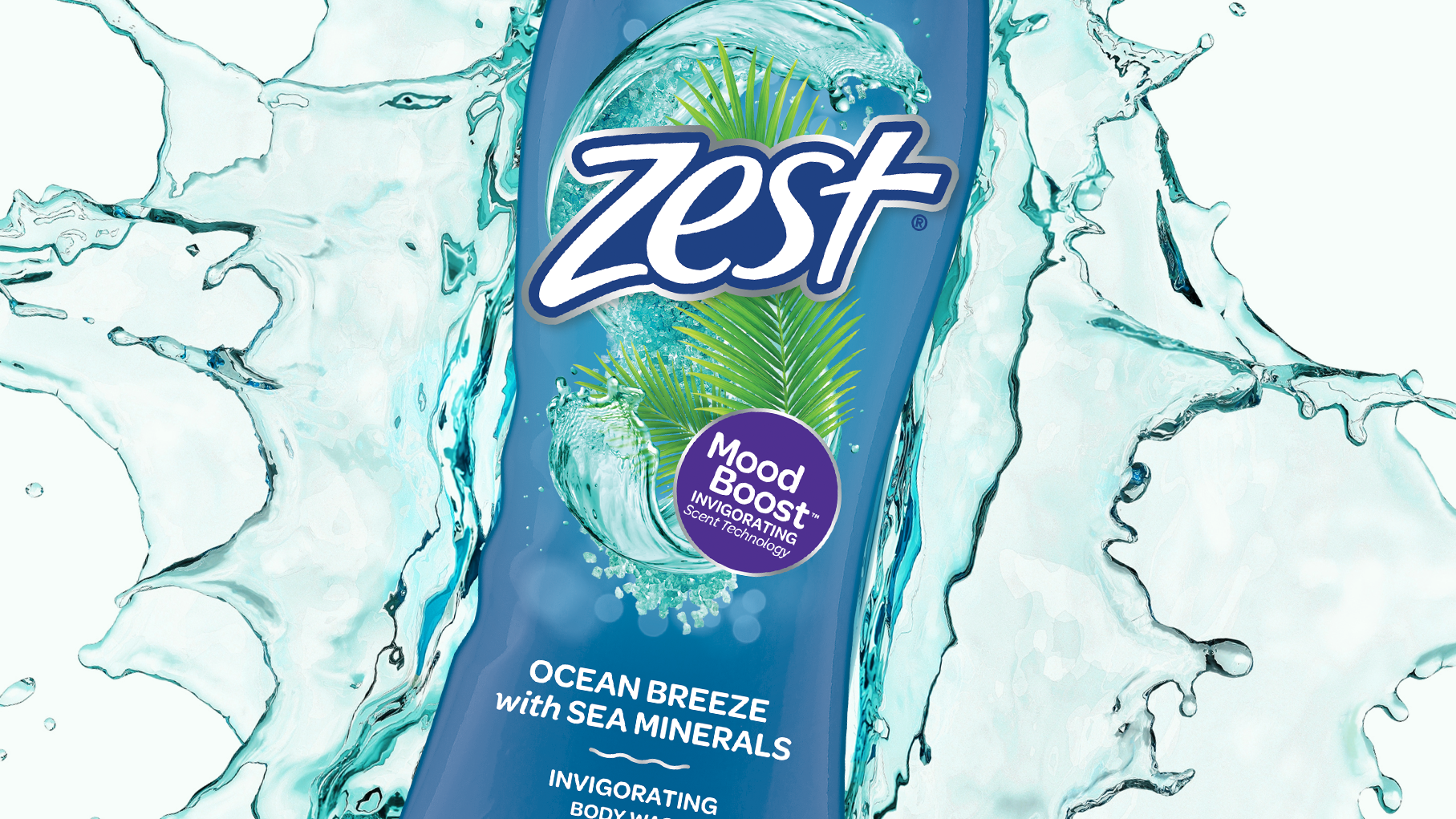 Zest Redesign