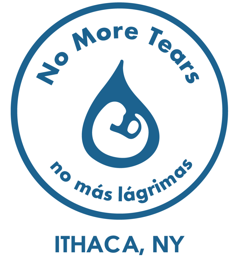 no-mas-lagrimas-logo.png