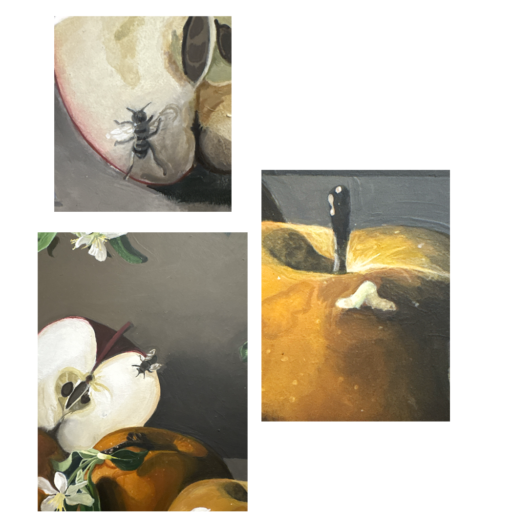 Still Life callouts.png