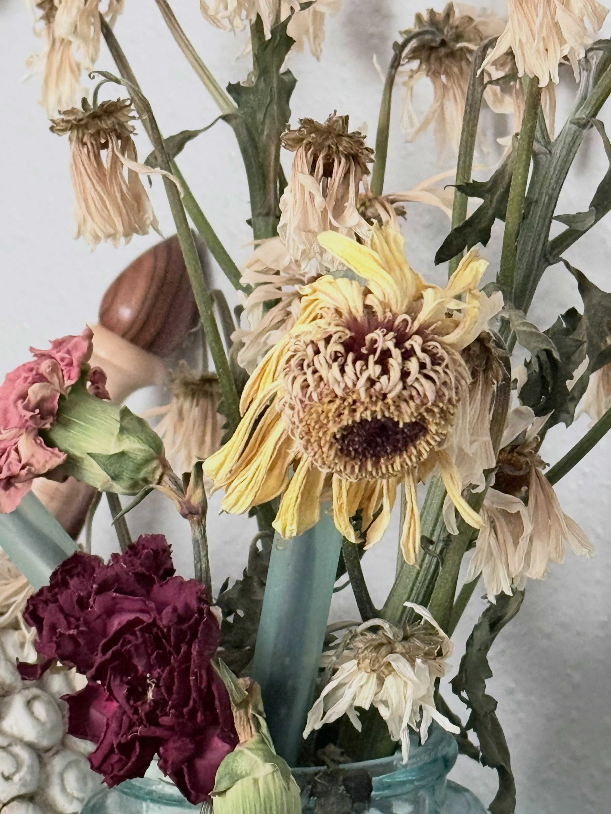 These are flowers from Mother&rsquo;s Day. Obviously they have fulfilled their lifespan; however, there is something beautifully poignant about them. I had to capture the moment as it will never come in just this way again. Inspiration is all around 