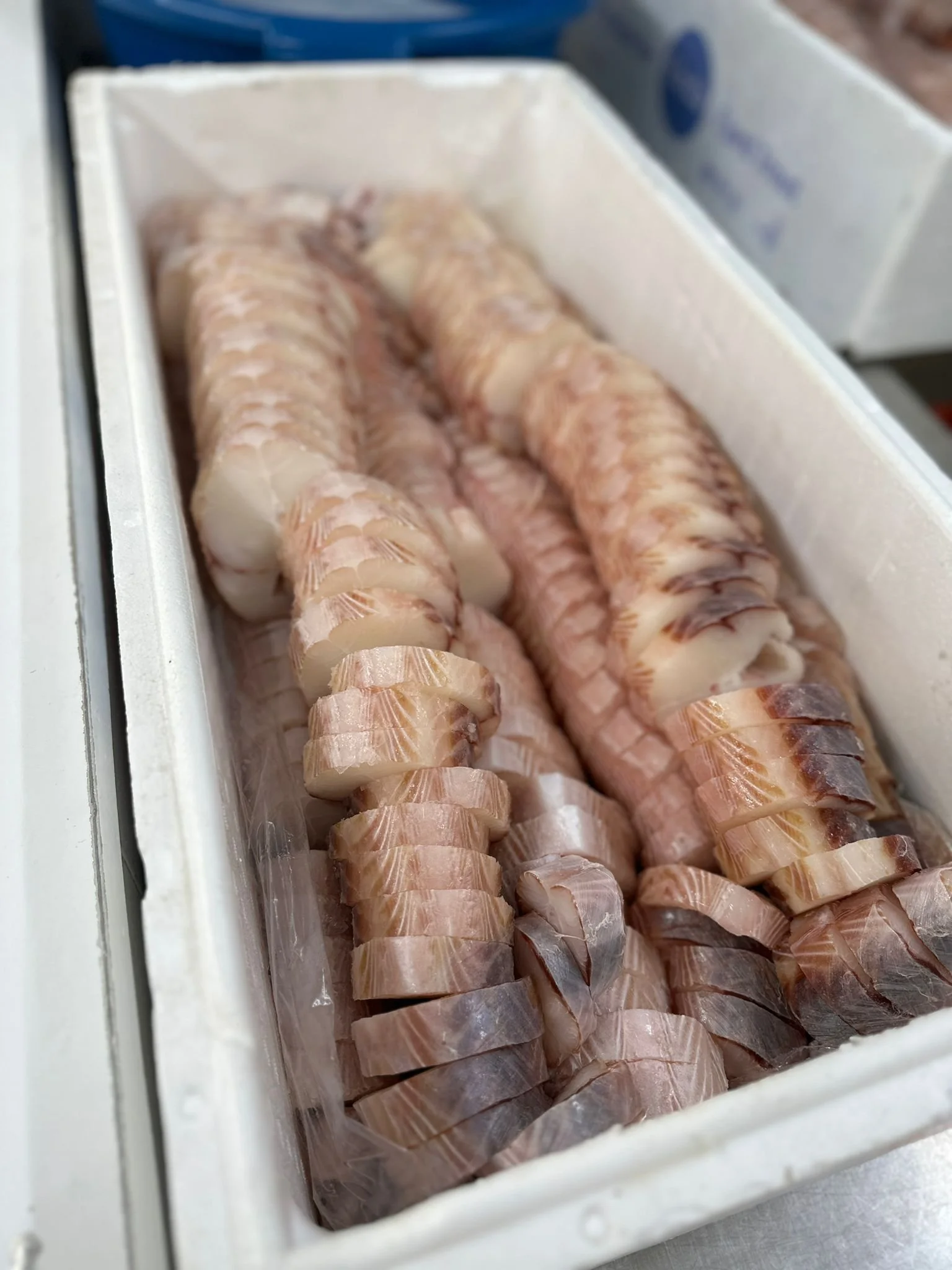 WhatsApp Image 2026-01-28 at 12.02.59 (2).jpeg