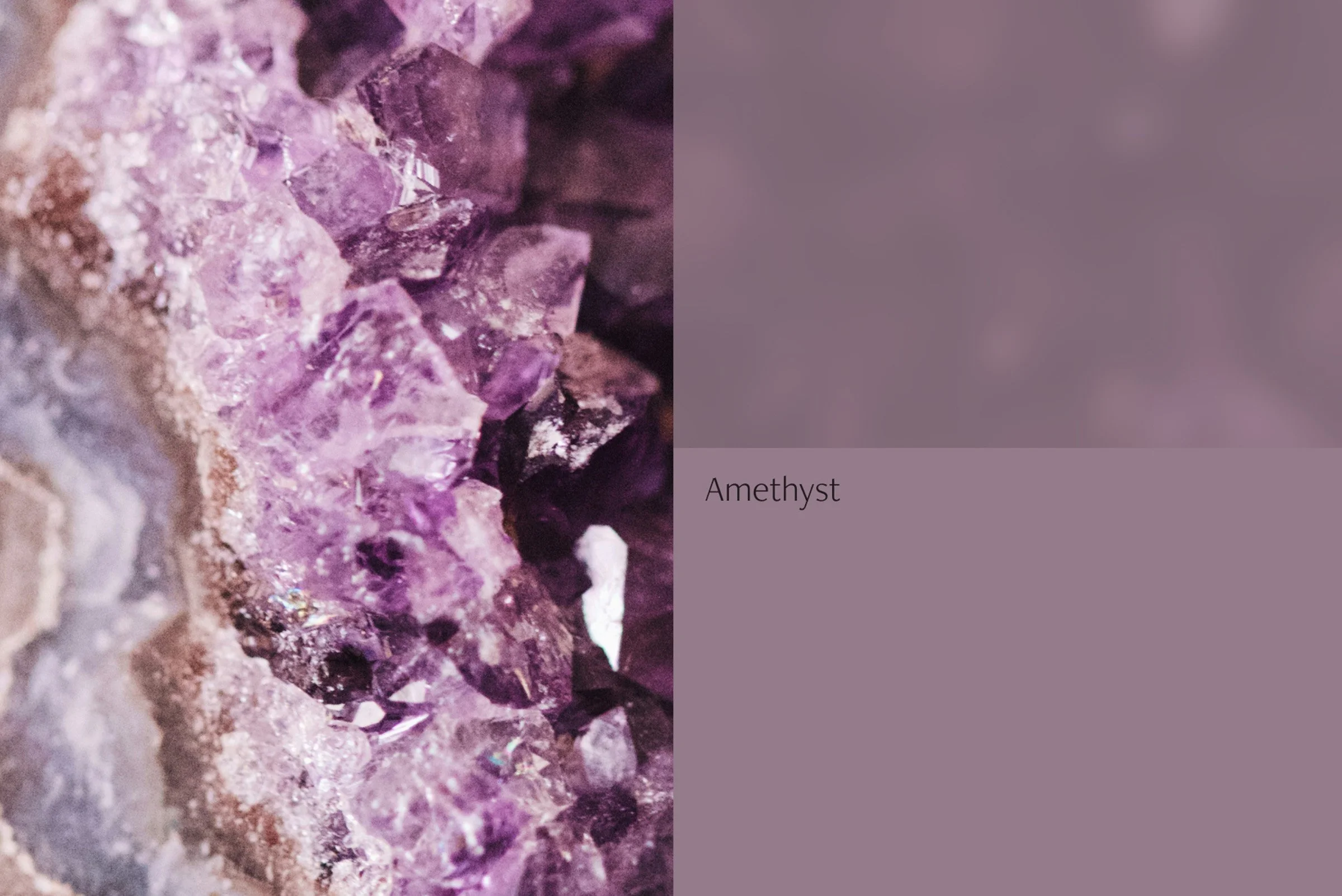 Reverie Residential color palette inspired by night-sky hues, including Nightshade, Imperial Plum, and Golden Suede.