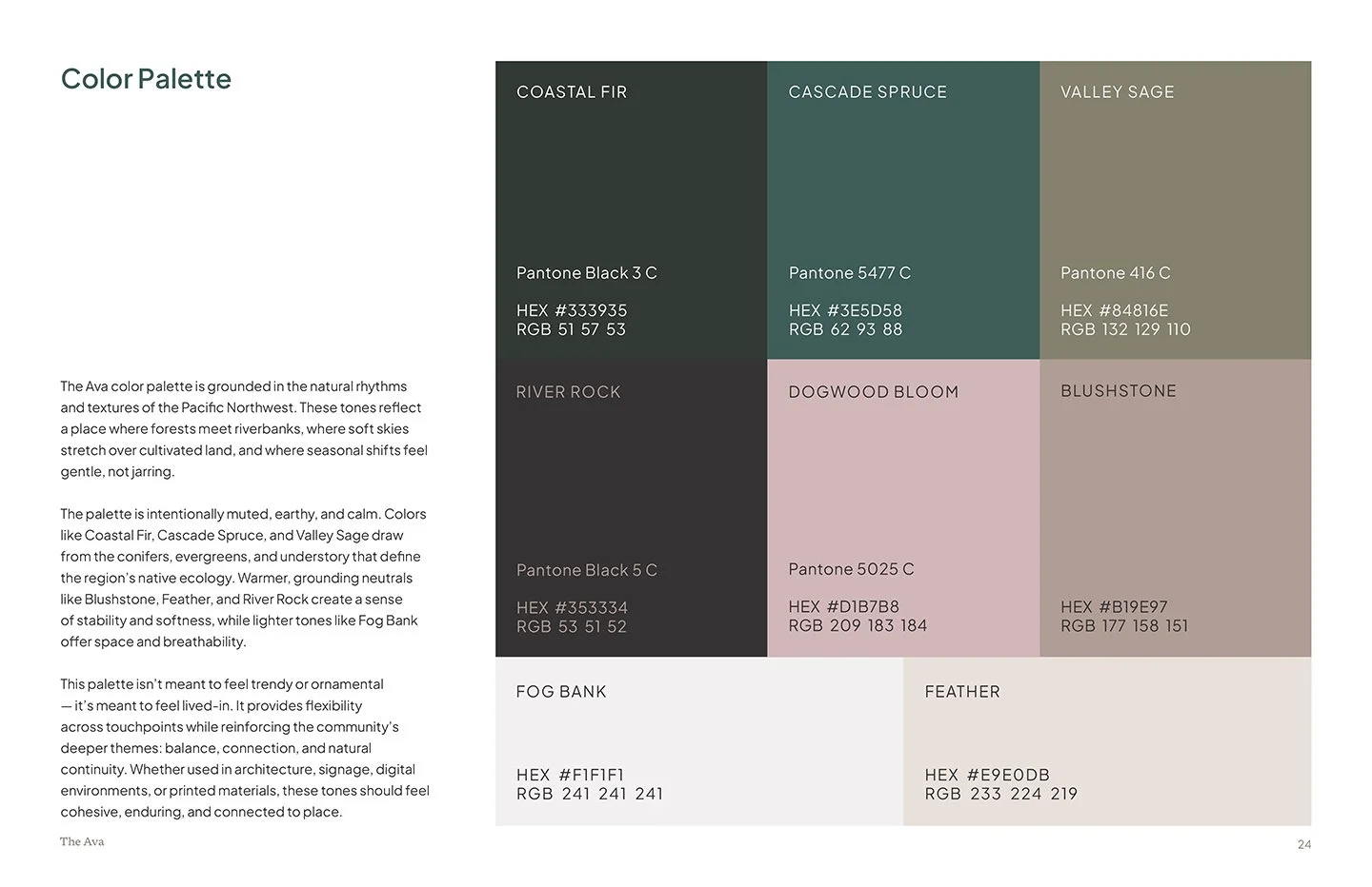 ava-brand-standards-color-palette.jpg
