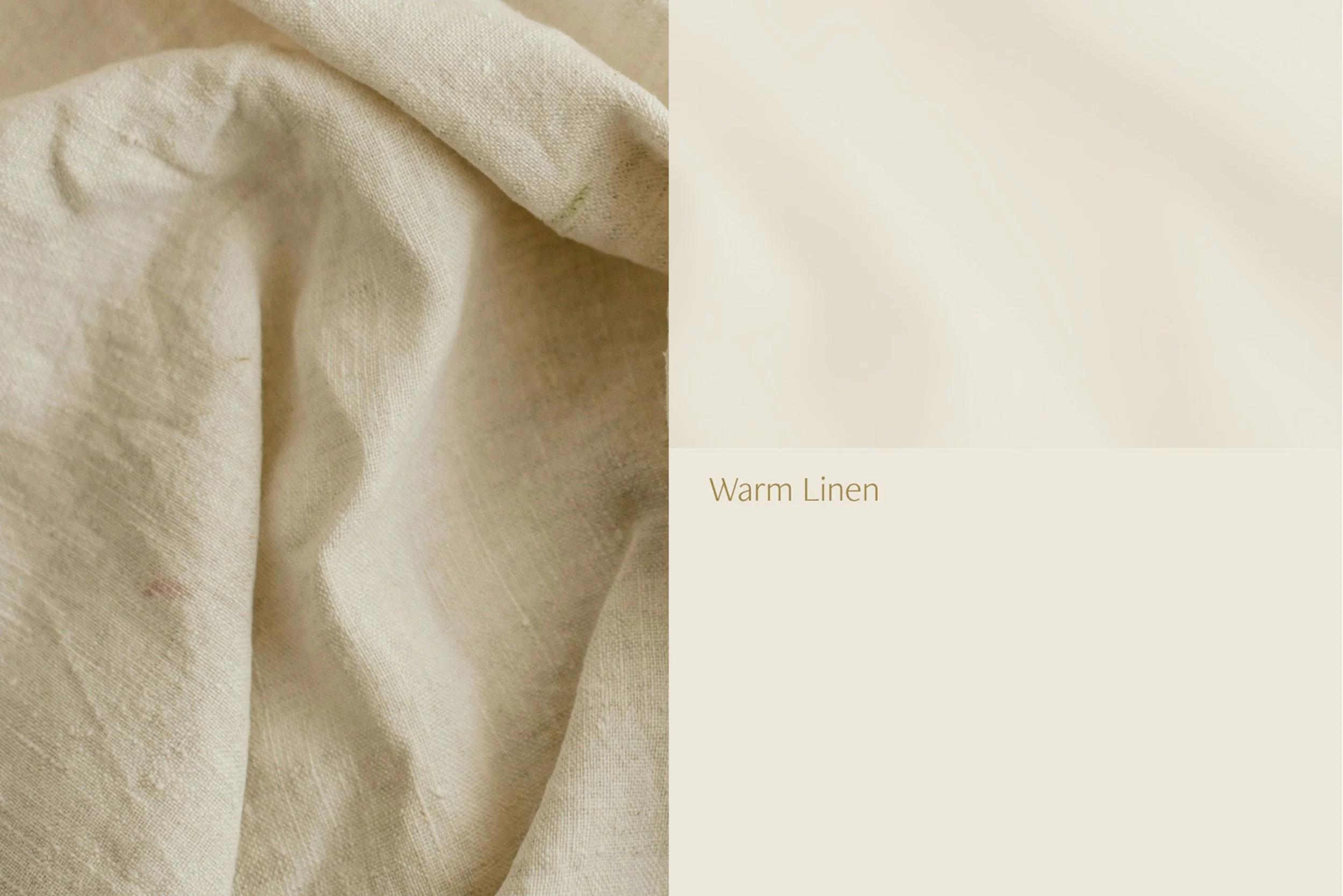 Reverie Residential color palette inspired by night-sky hues, including Nightshade, Imperial Plum, and Golden Suede.