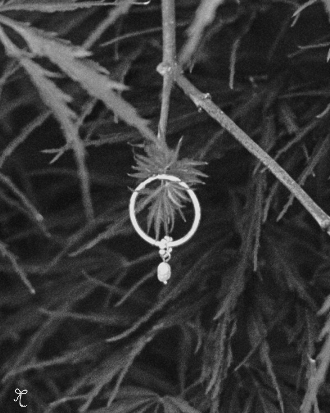 BW small hoops by bellisgirl x miguel.JPG