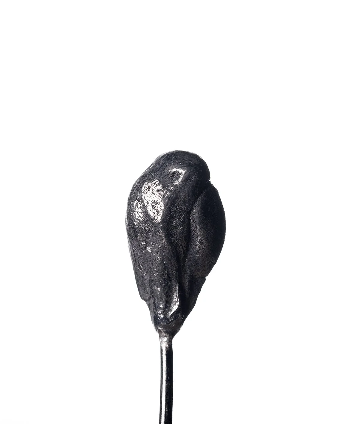 detail of seeds brooch in black by bellisgirl.jpg