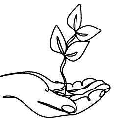 En hånd holder en liten plante med tre blader.