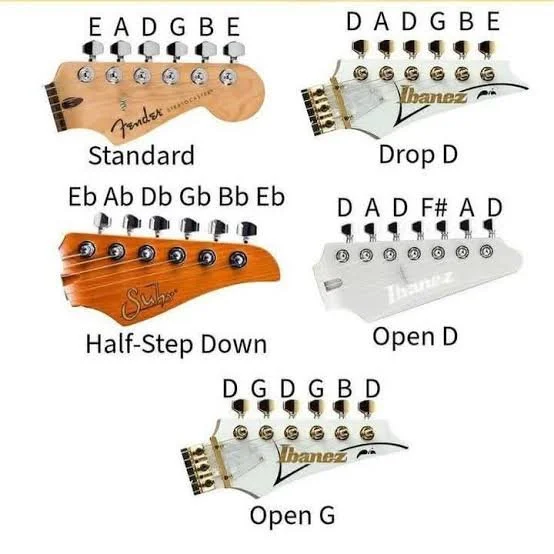 Everything You Need to Know About Chord Progressions
