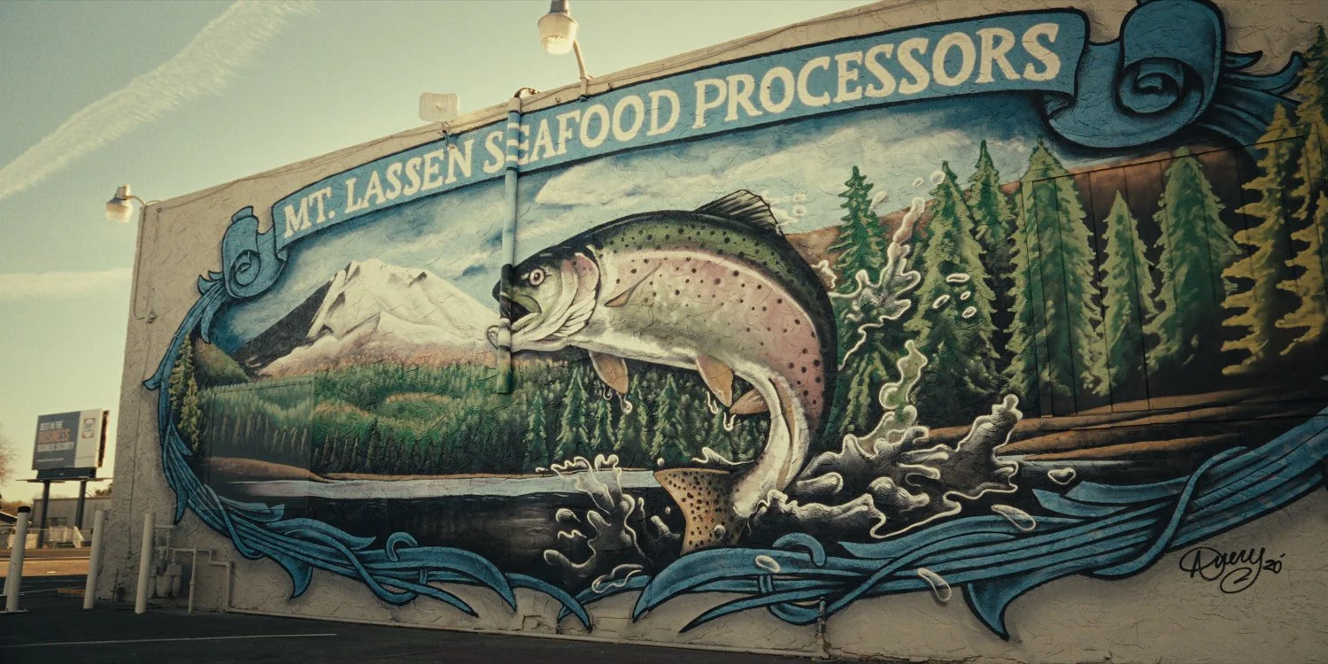 Mt Lassen - Graded Stills.jpg