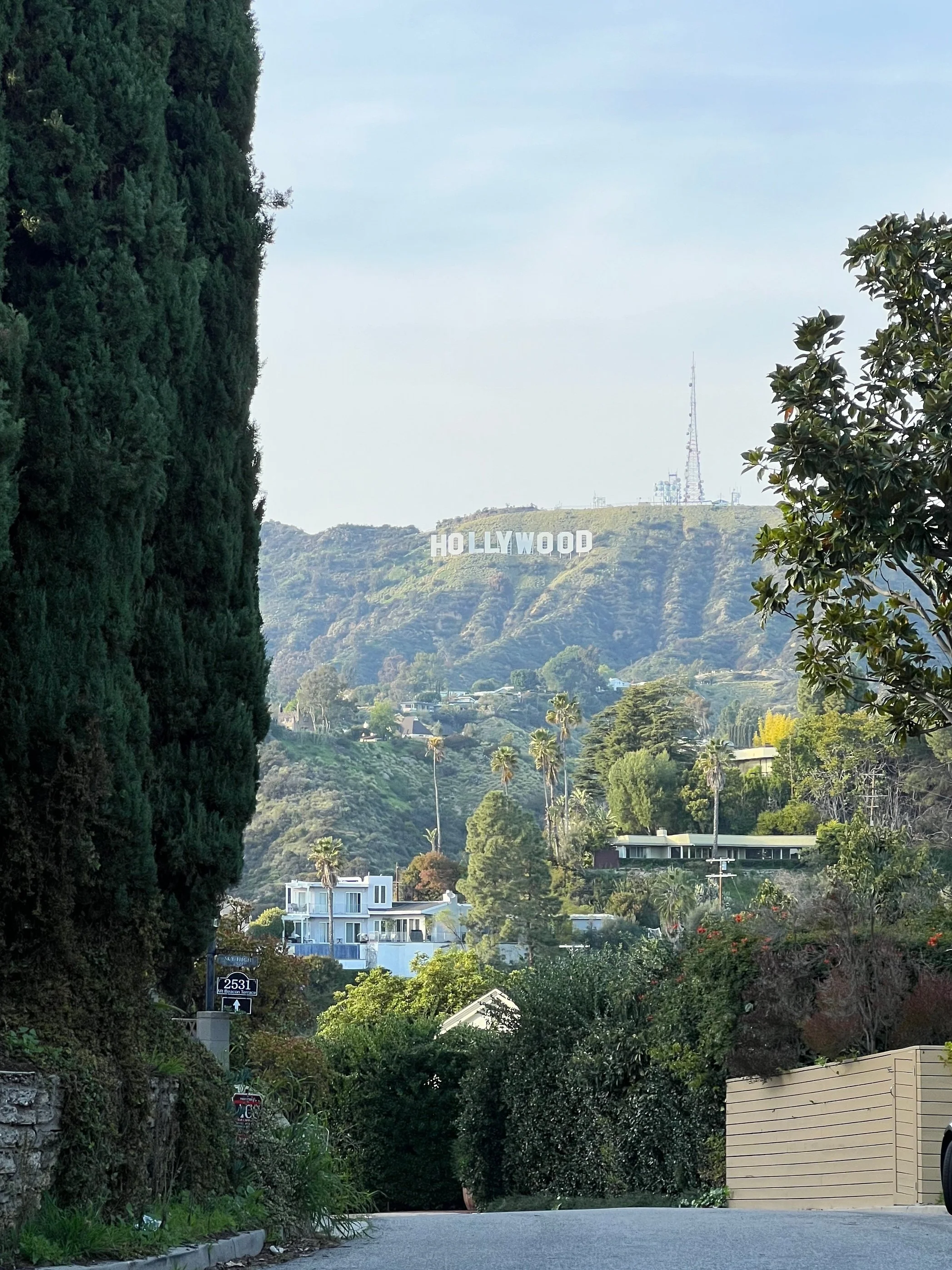 View of the Hollywood Sign on a hillside surrounded by trees and residential houses.