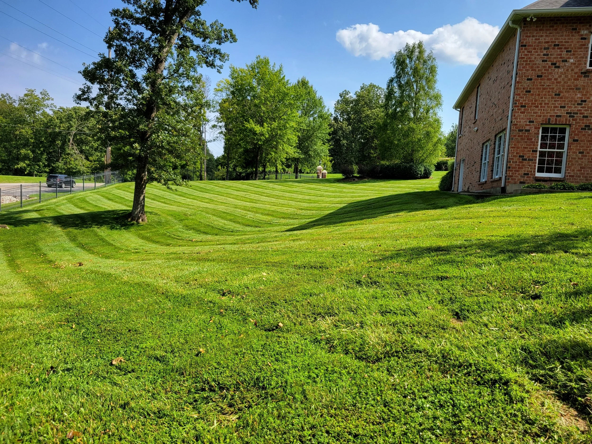 A landscaped lawn with green grass, trees, and a brick house on the right. The lawn has diagonal mowing patterns, and there are shadows cast by trees. A fence runs along the left side, and the sky is blue with some clouds.