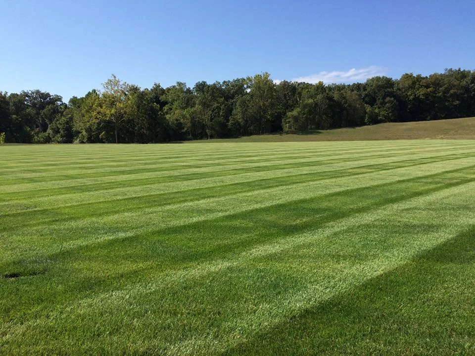 Aeration and Seeding