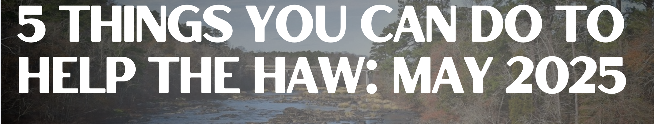 5 things you can do to help the haw river this month