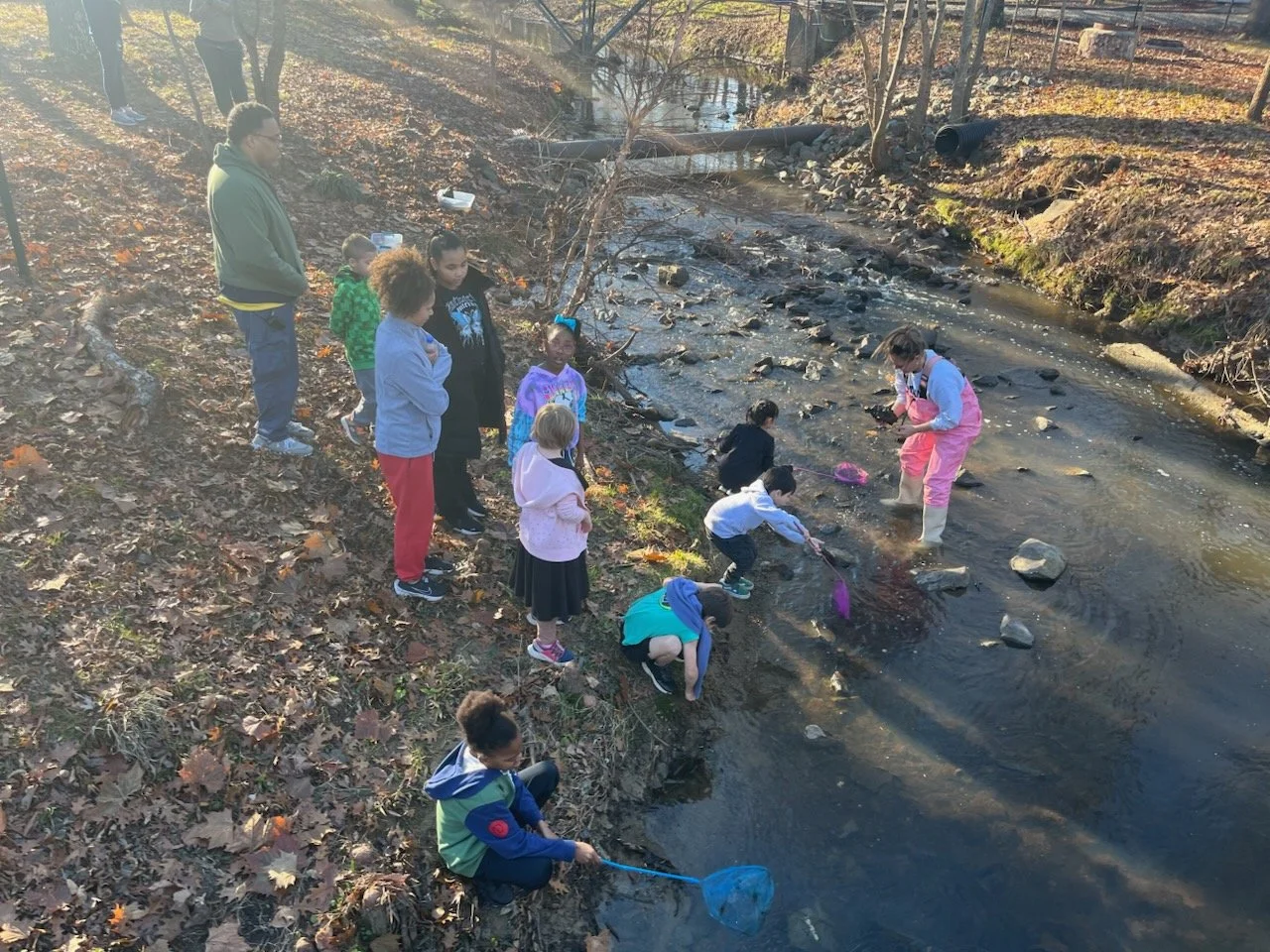 Stream Splashers