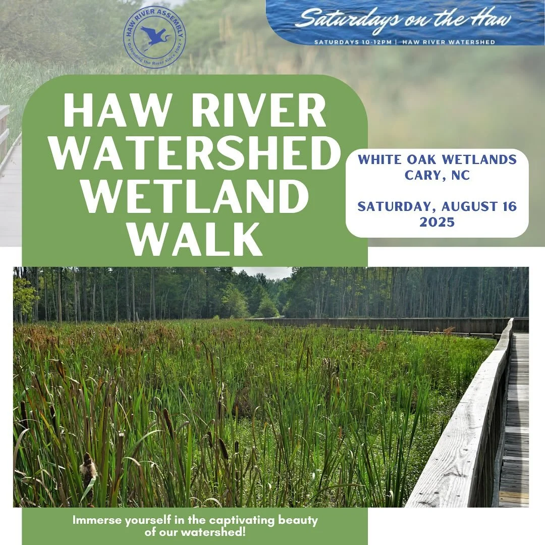 Wetland Hike!
