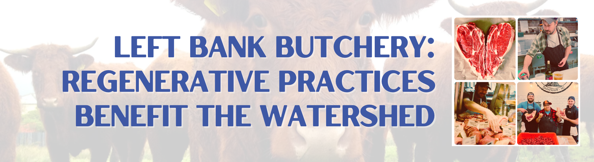 From Pasture to Plate: How a Whole-Animal Butcher Shop Protects the Haw River