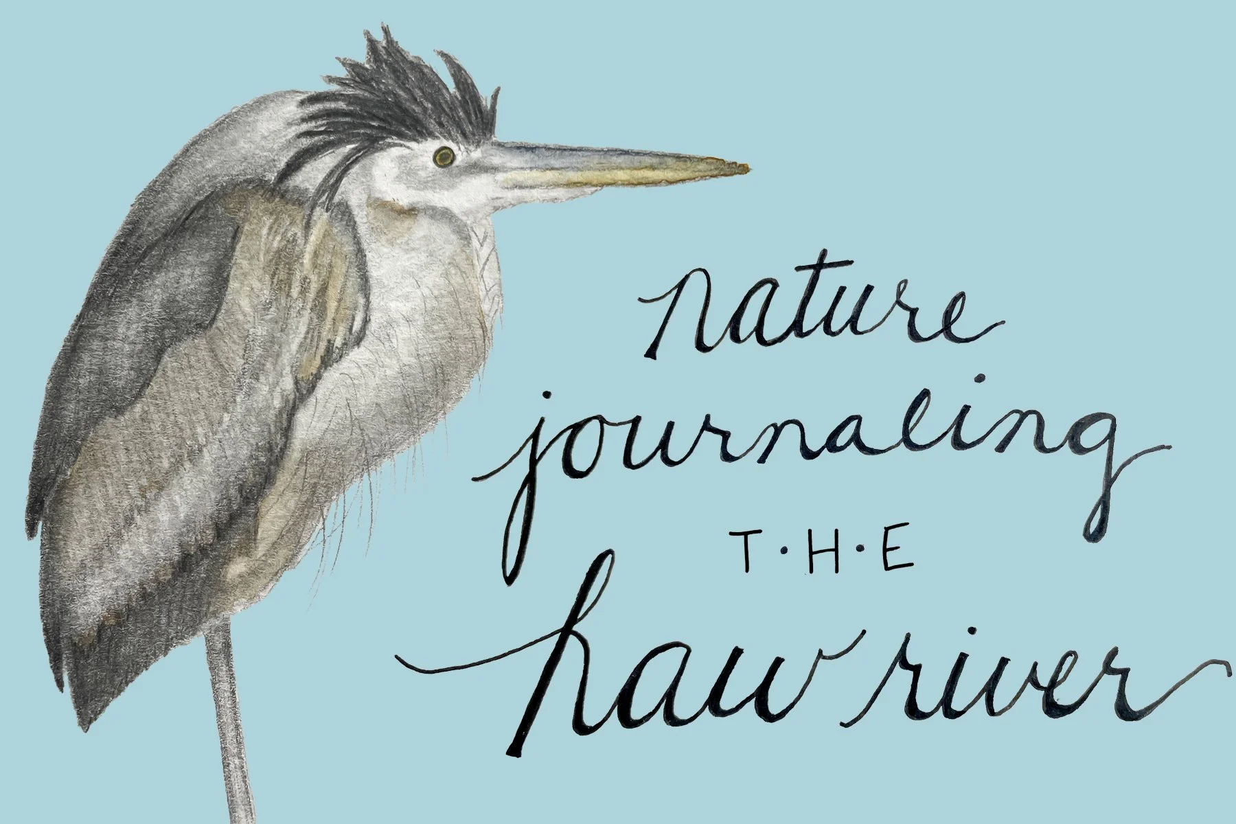 Nature Journaling Event 