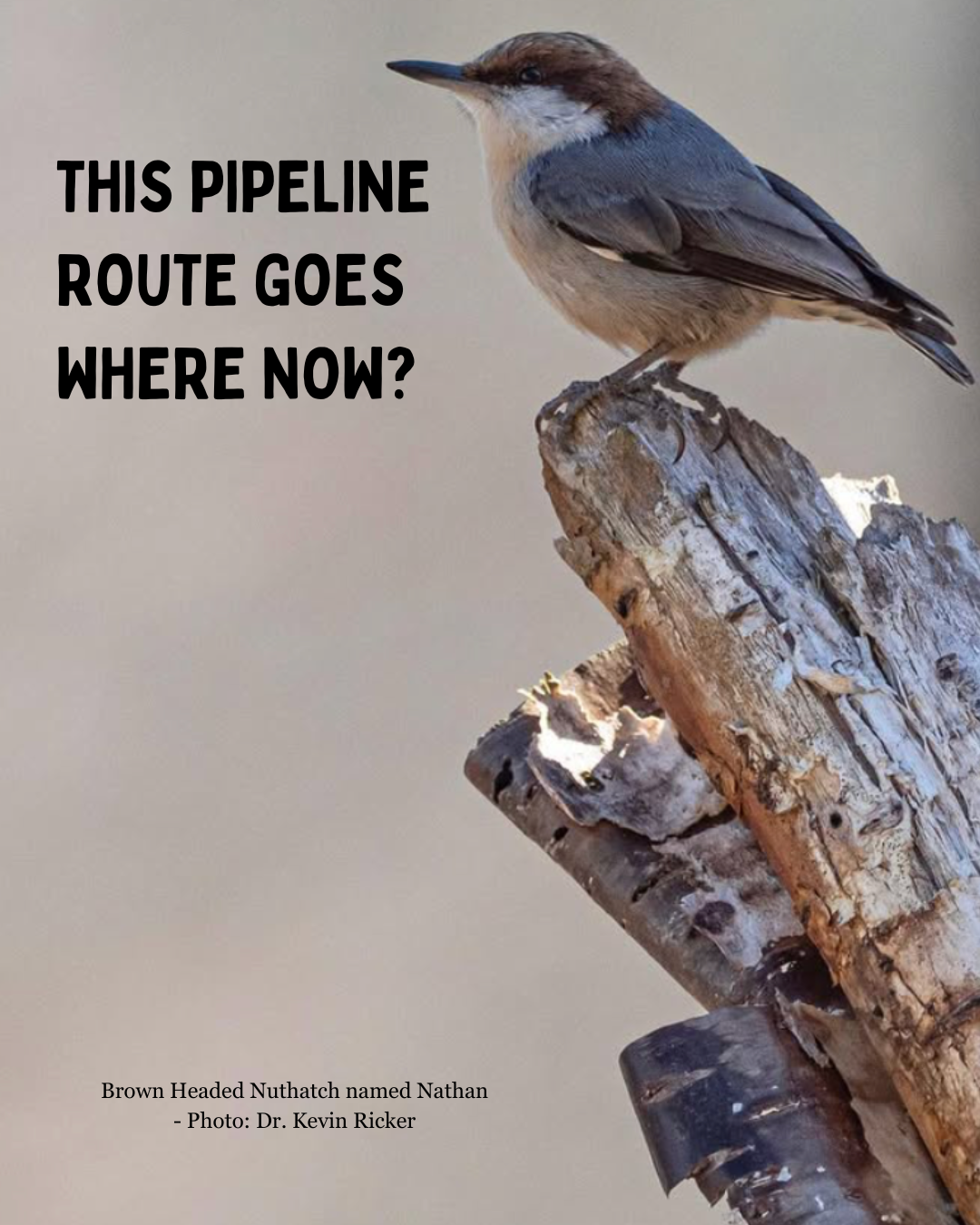 Chatham County Enbridge Pipeline Meeting