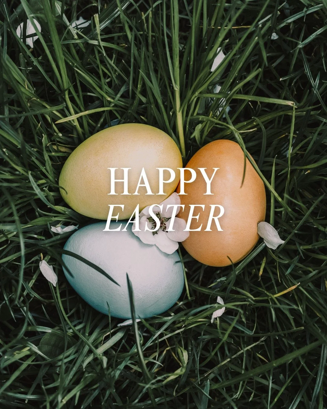 Happy Easter 🐣 

#easter #happyeaster #eastresunday