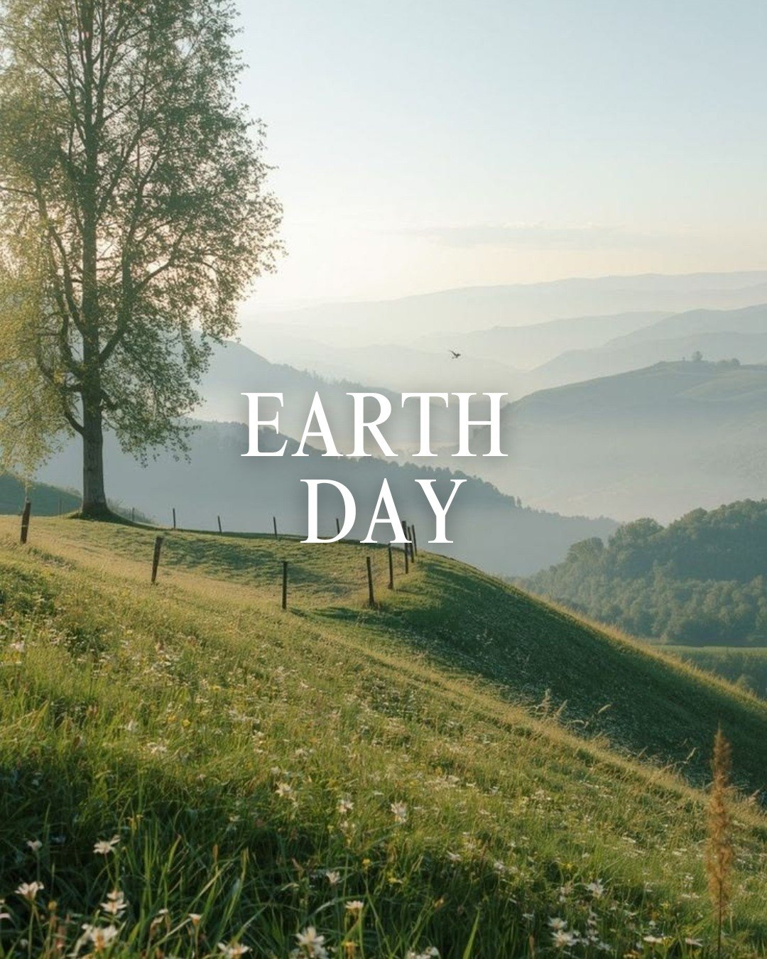 Happy Earth Day 🌎🌱

We believe great communities begin with thoughtful planning, responsible building, and a commitment to the environment we build on

#earthday #HomeBuilder #NewConstruction #buildethically #DreamHomeBuilders
