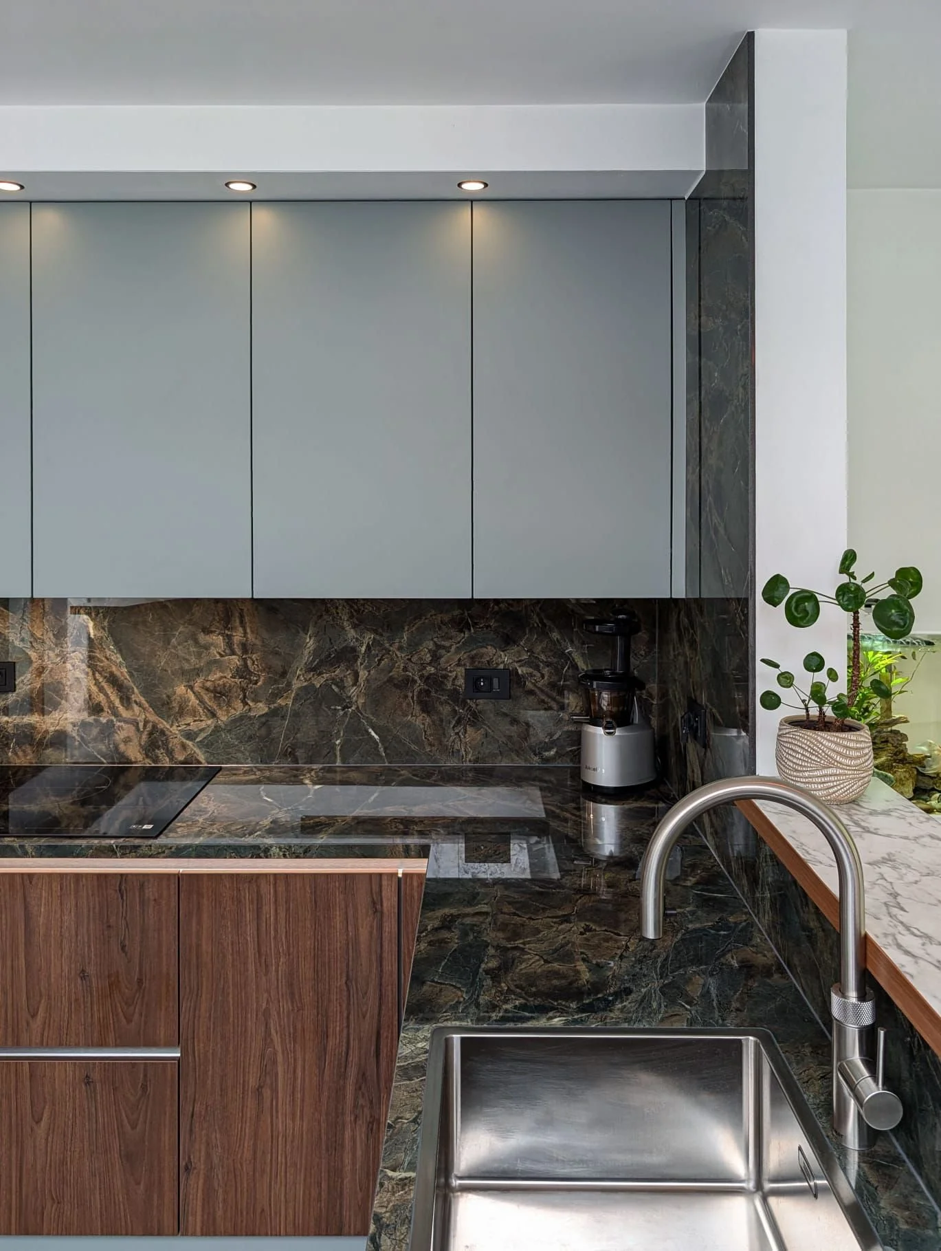 Modern kitchen with black marble countertops, a stainless steel sink, a faucet, a potted plant, and upper cabinets.