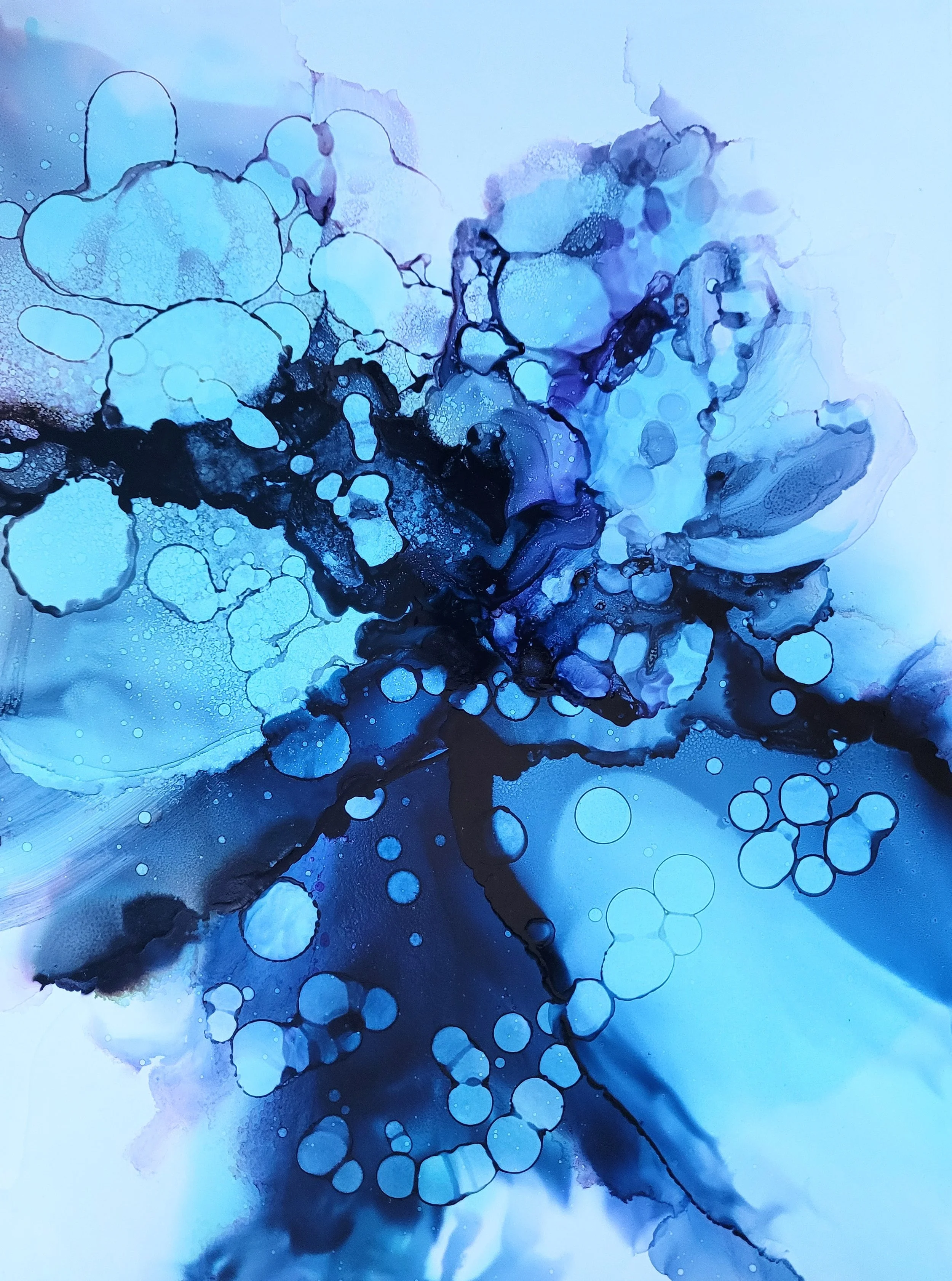 Blue Bubbly AI.jpg