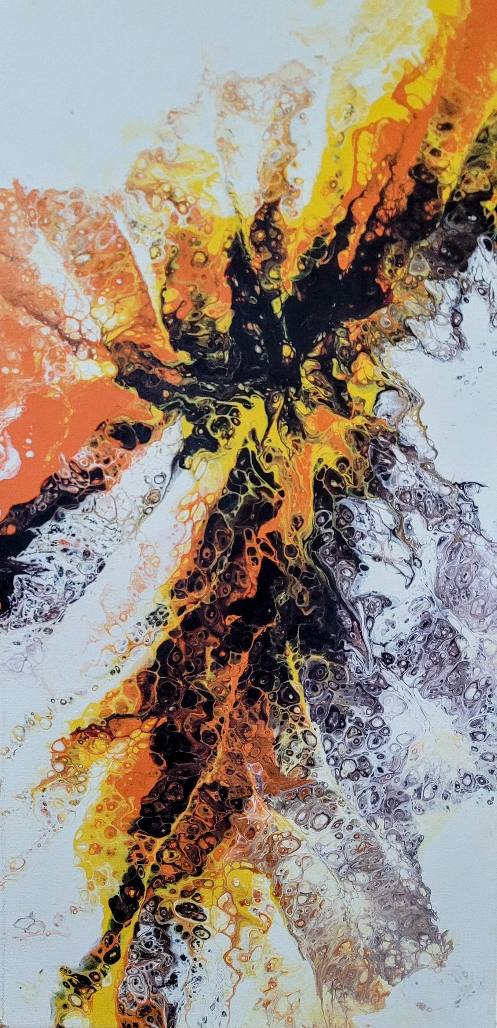20240215_150923~2.jpg
