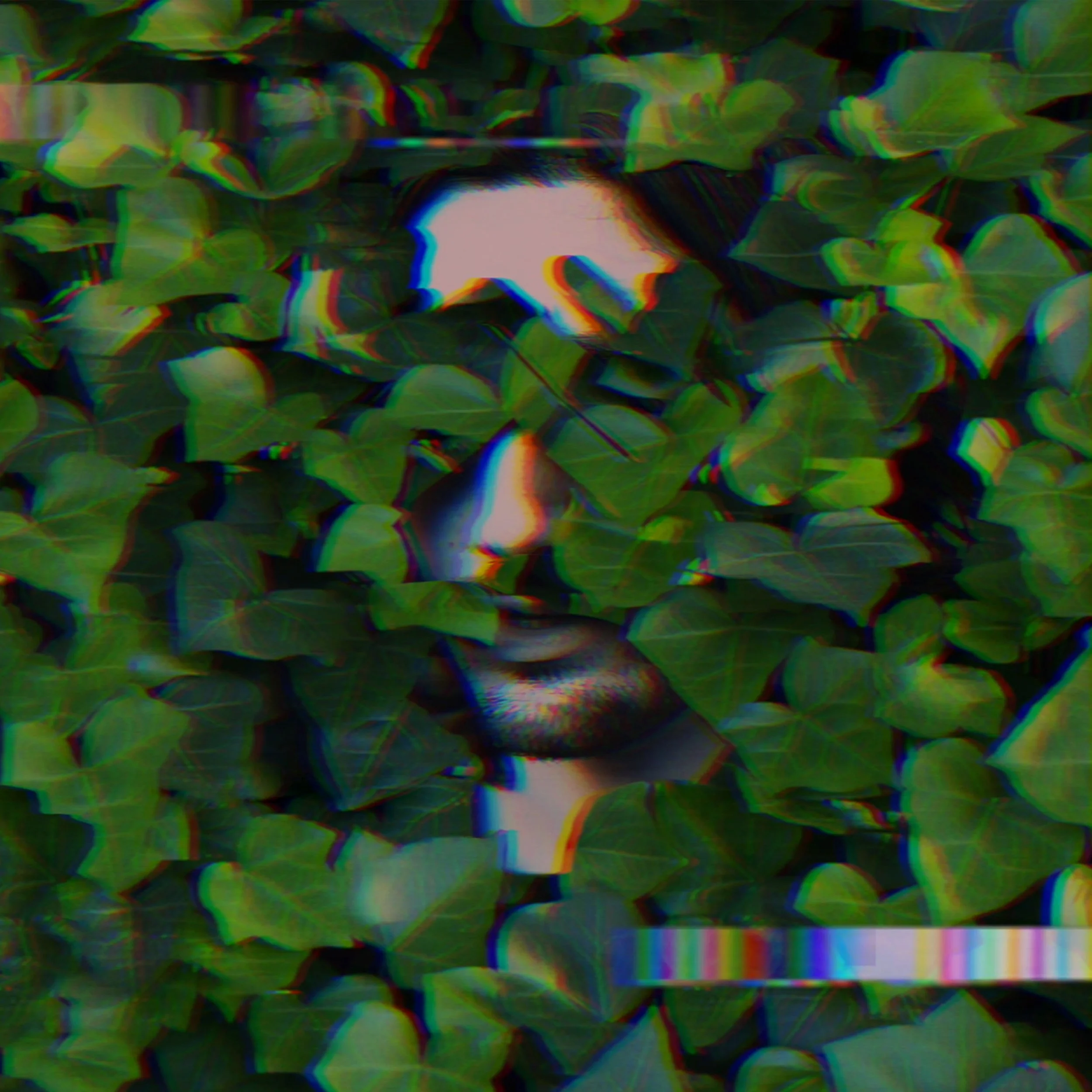 Crimson Bouquet In Bloom cover art