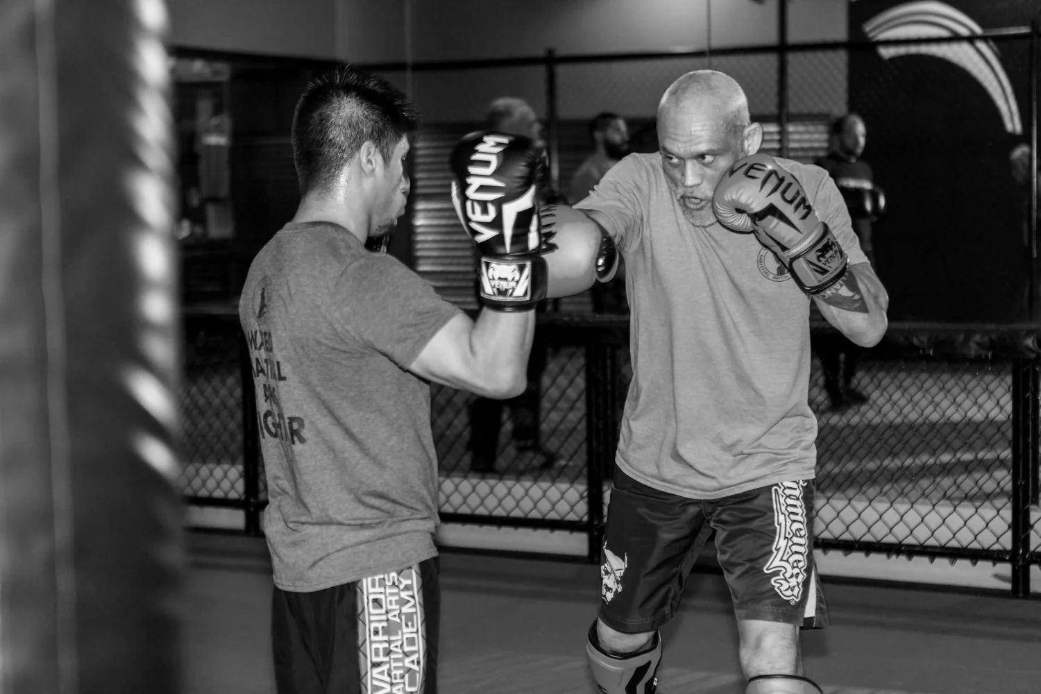 Warrior Martial Arts Academy