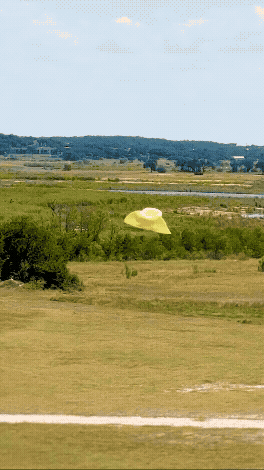 Honcho Floating Cowboy Hat rough.gif