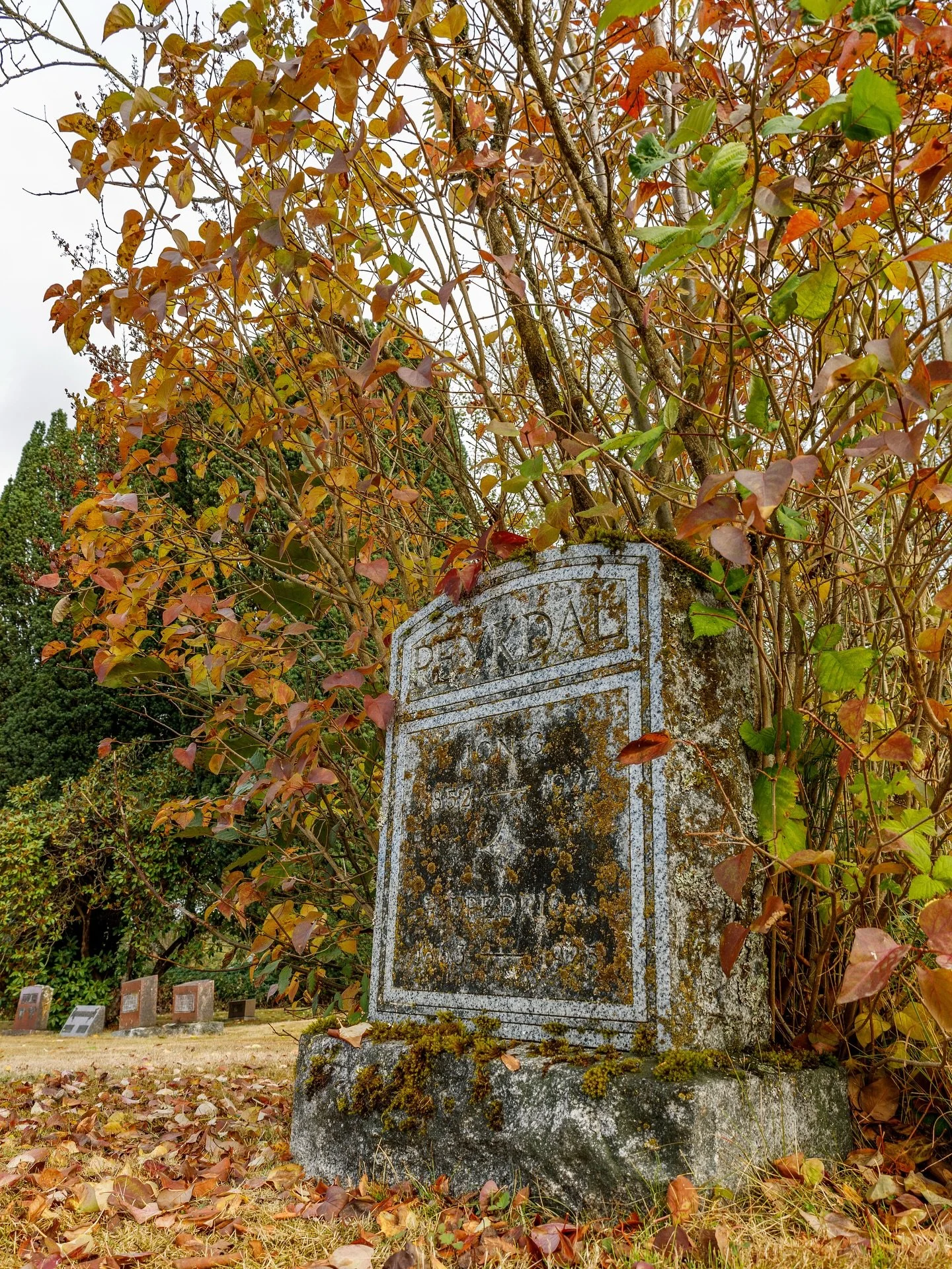 We have all grown up in a world that on October 31st we celebrate Halloween and dress up to get candy from our neighbors. A fun tradition! But did you know that Halloween was first a Catholic holiday?! 
🎃
At the end of this month we have the triduum