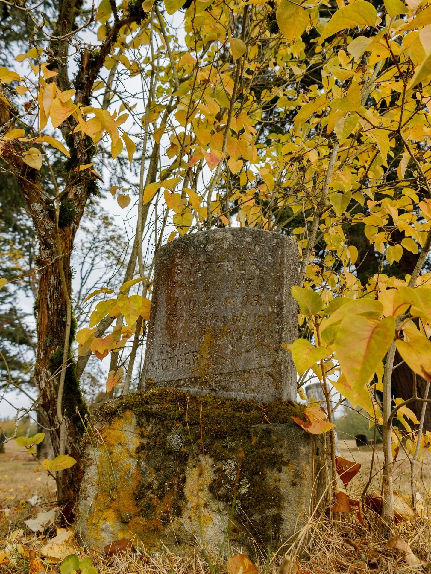 All Saints&rsquo; Day, November 1st, commemorates the dead in Heaven. All canonized and uncanonized Saints. Every soul in heaven is a saint even if The Church here on earth doesn&rsquo;t recognize them as a saint. To be with God = to be a saint. So o