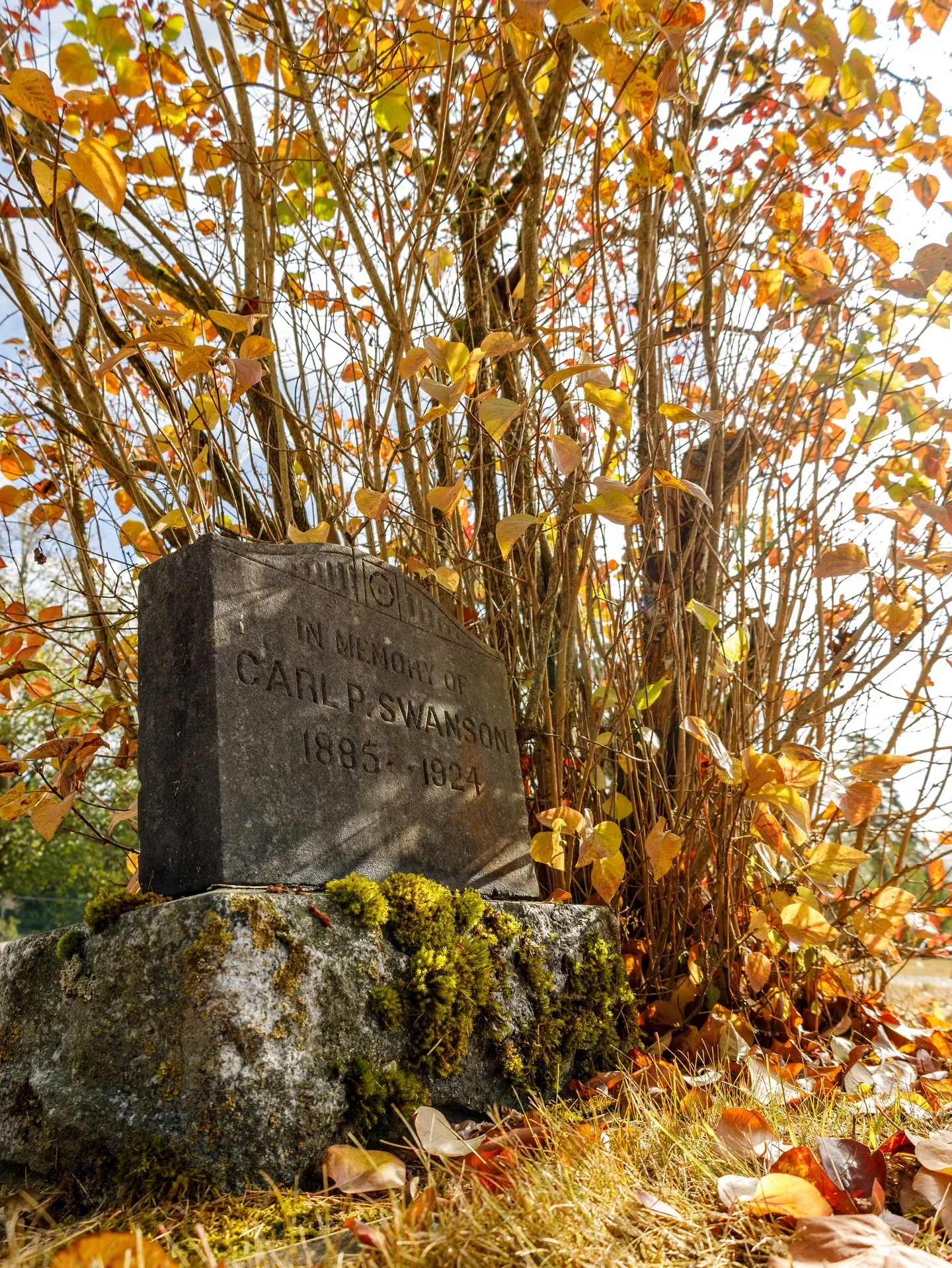 All Souls Day, November 2nd commemorates all the faithful departed, the souls in purgatory. When we die we will face a particular judgment. (CCC 1021-1022) This is when your life lived here on earth will determine where your soul goes. We decide this