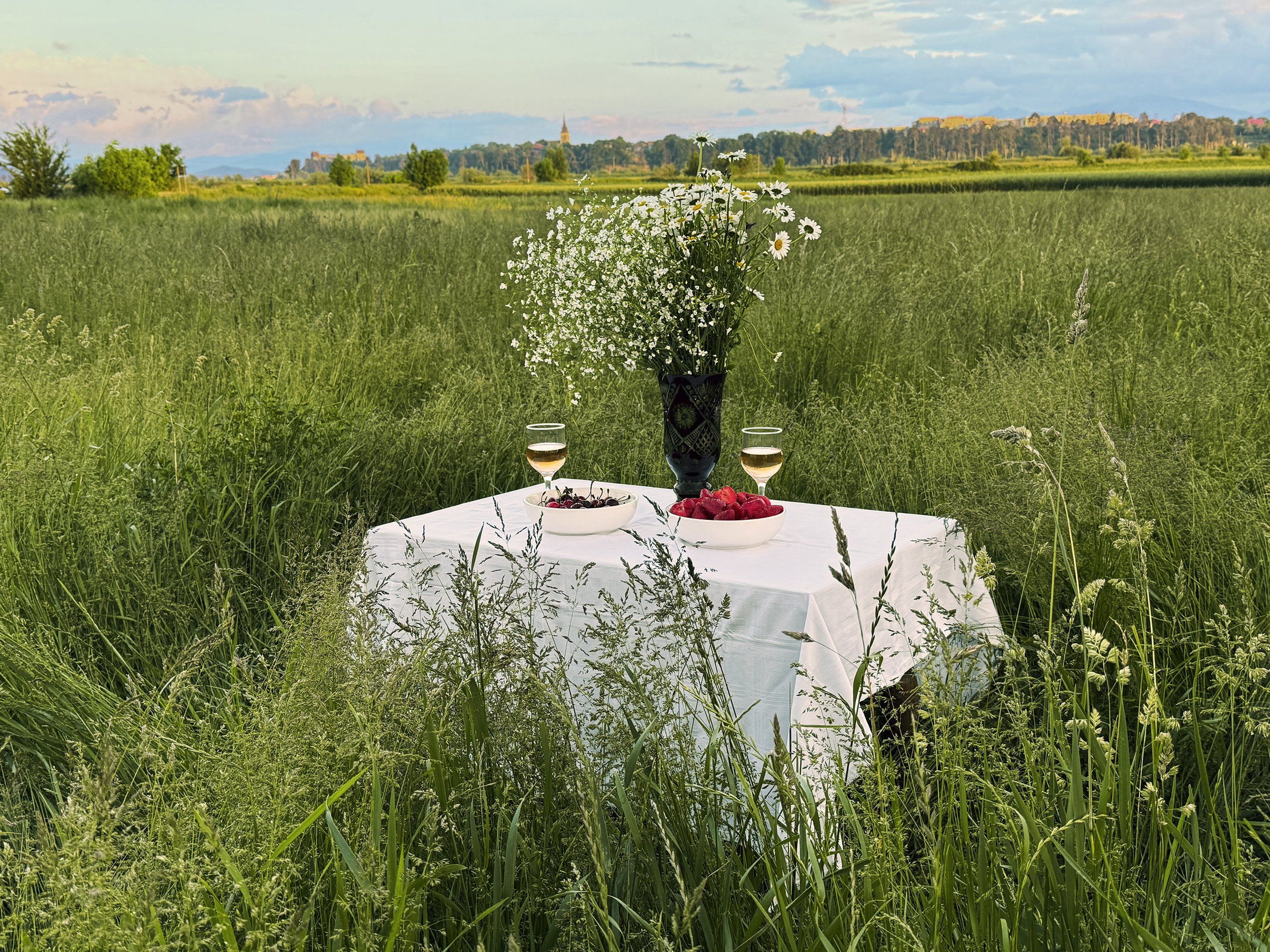 A table set with a black vase holding white daisies, bowls of berries and strawberries, and two glasses of rosé wine amidst a lush green field with trees and distant hills under a blue sky with clouds.