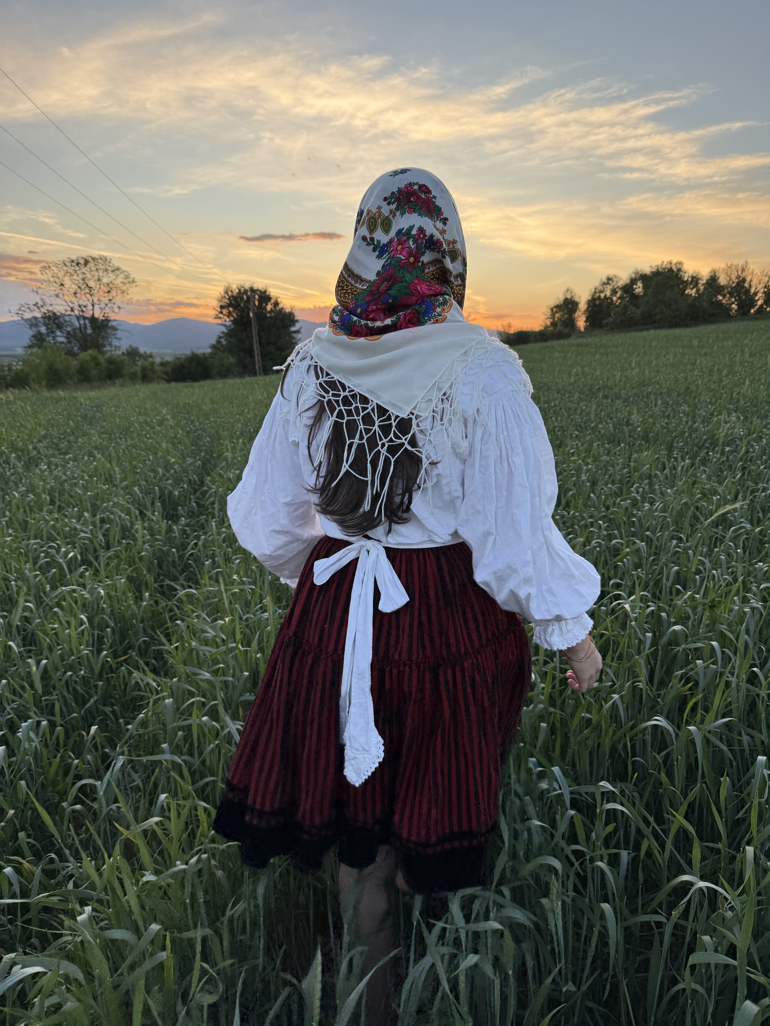 A girl in traditional Szekler dress and scarf standing in a wheat field at sunset