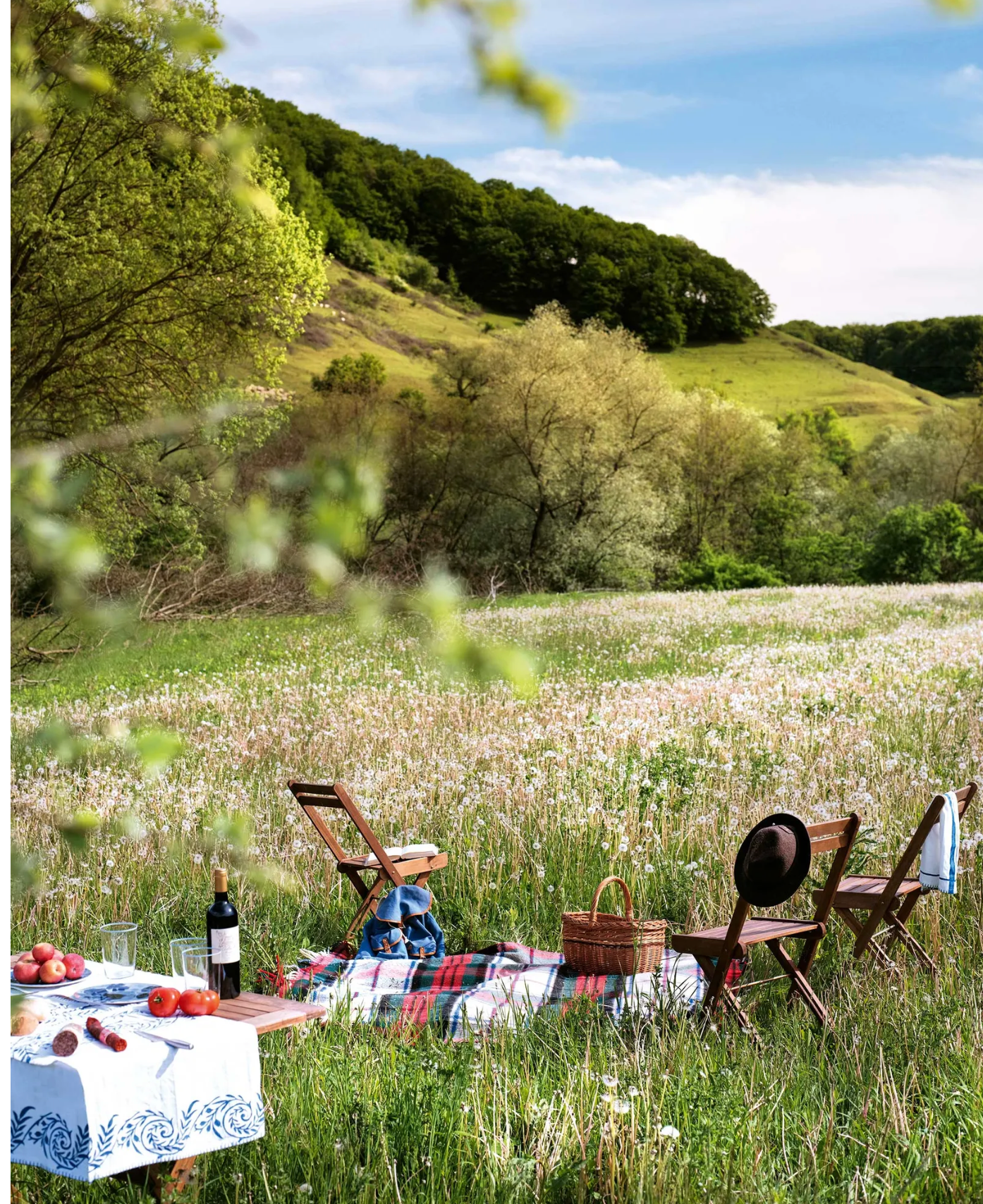 Screenshot+2026-01-13+at+5.12.49+PM.png (Copy)