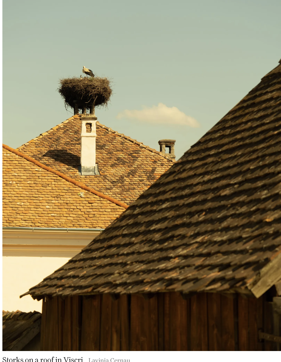 Screenshot 2026-01-13 at 7.38.41 PM.png (Copy)