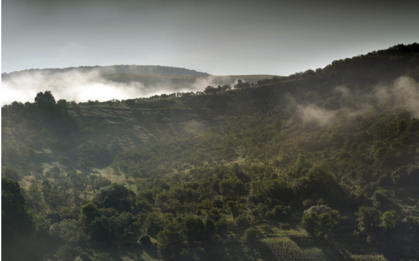 Screen Shot 2026-02-02 at 3.03.07 PM.png