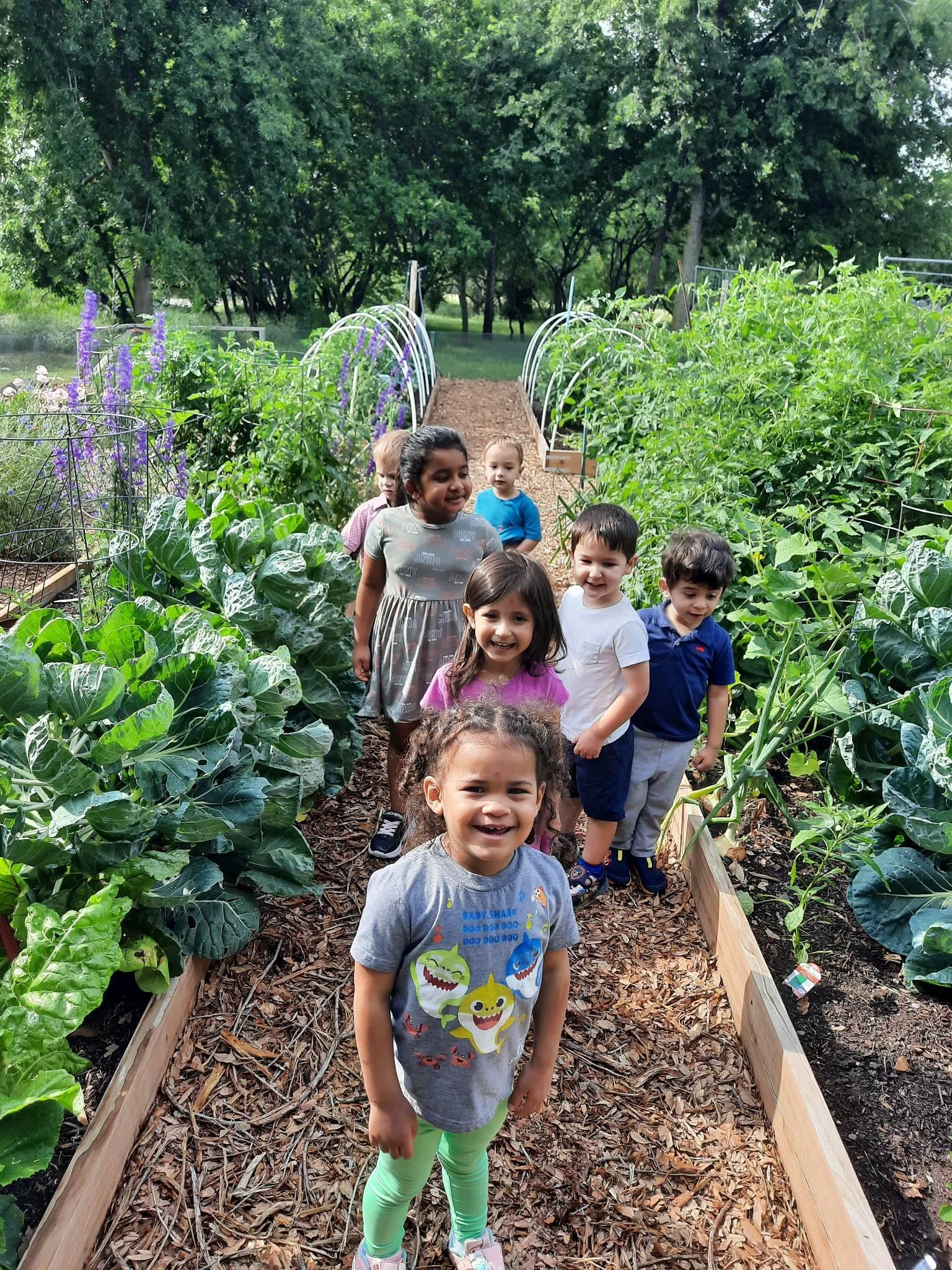 The Importance of Low Student-to-Teacher Ratios in Early Learning