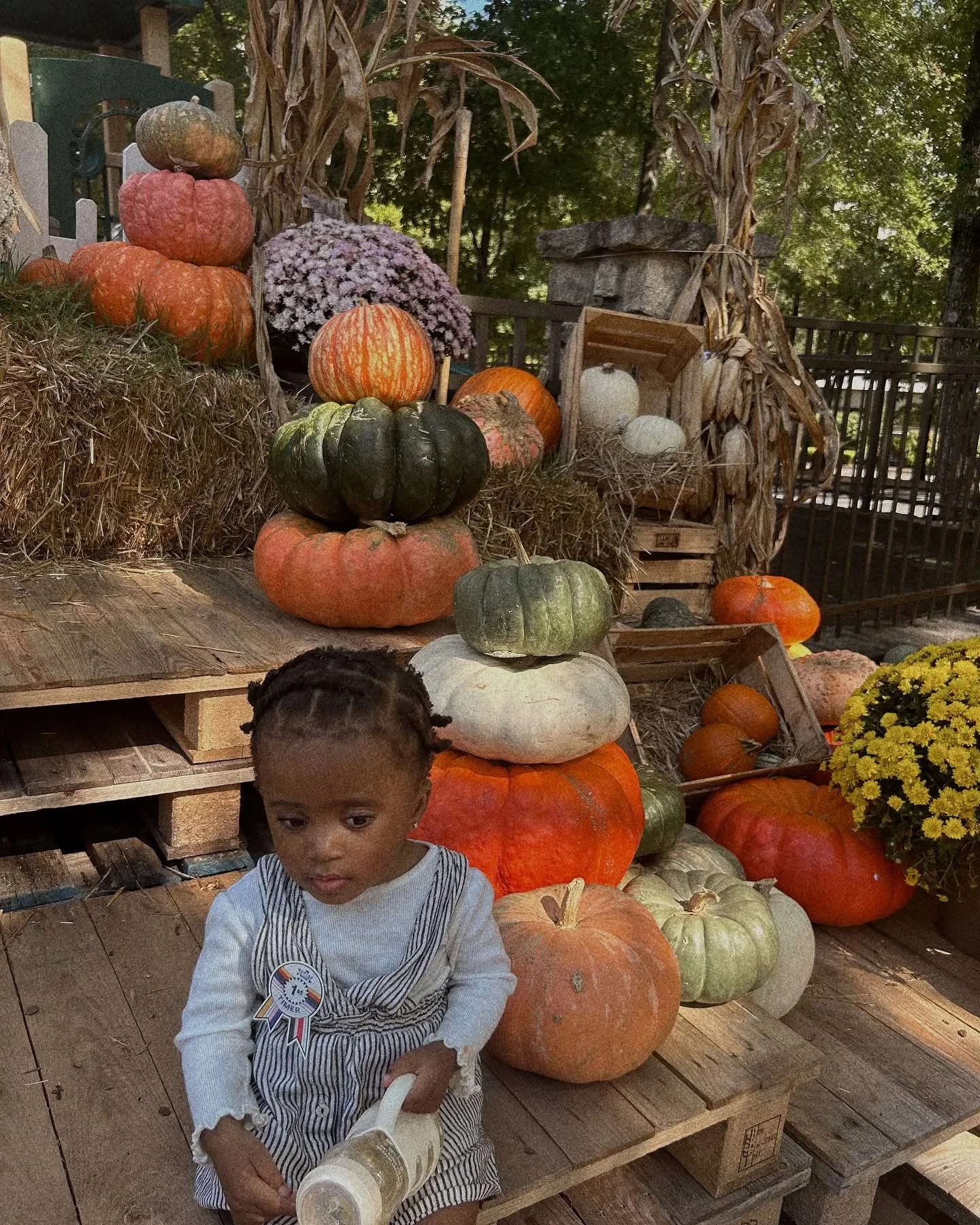 Oh hey, October 🍂🧸✨ 

A random dump of things that have been brining us joy lately...the last pic is the best 🥹