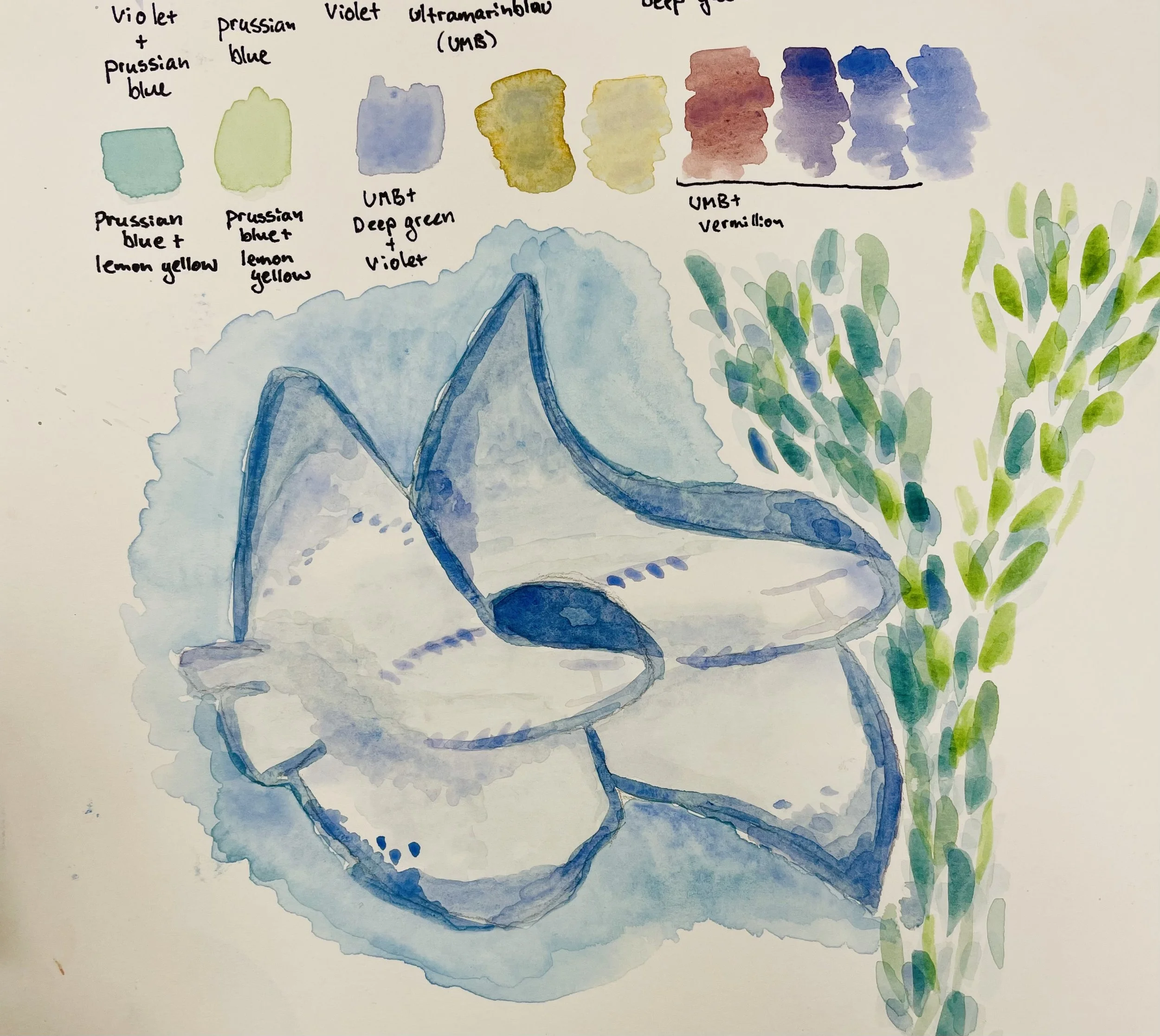 Student Marine Watercolor
