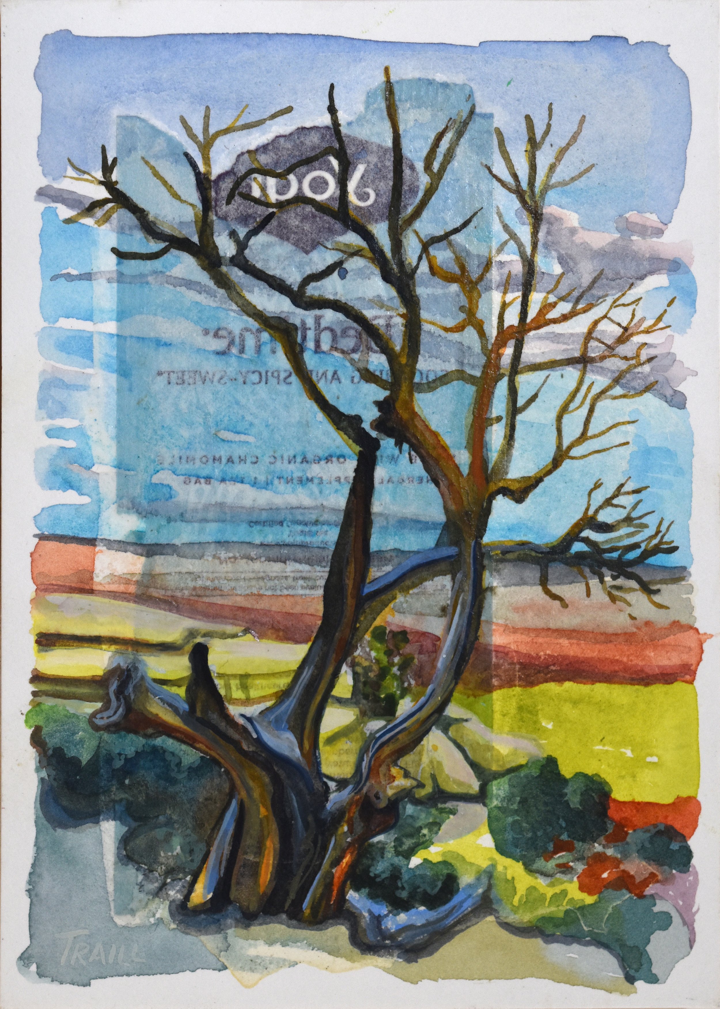 Bedtime Juniper, Mixed Media, 5" x 7"