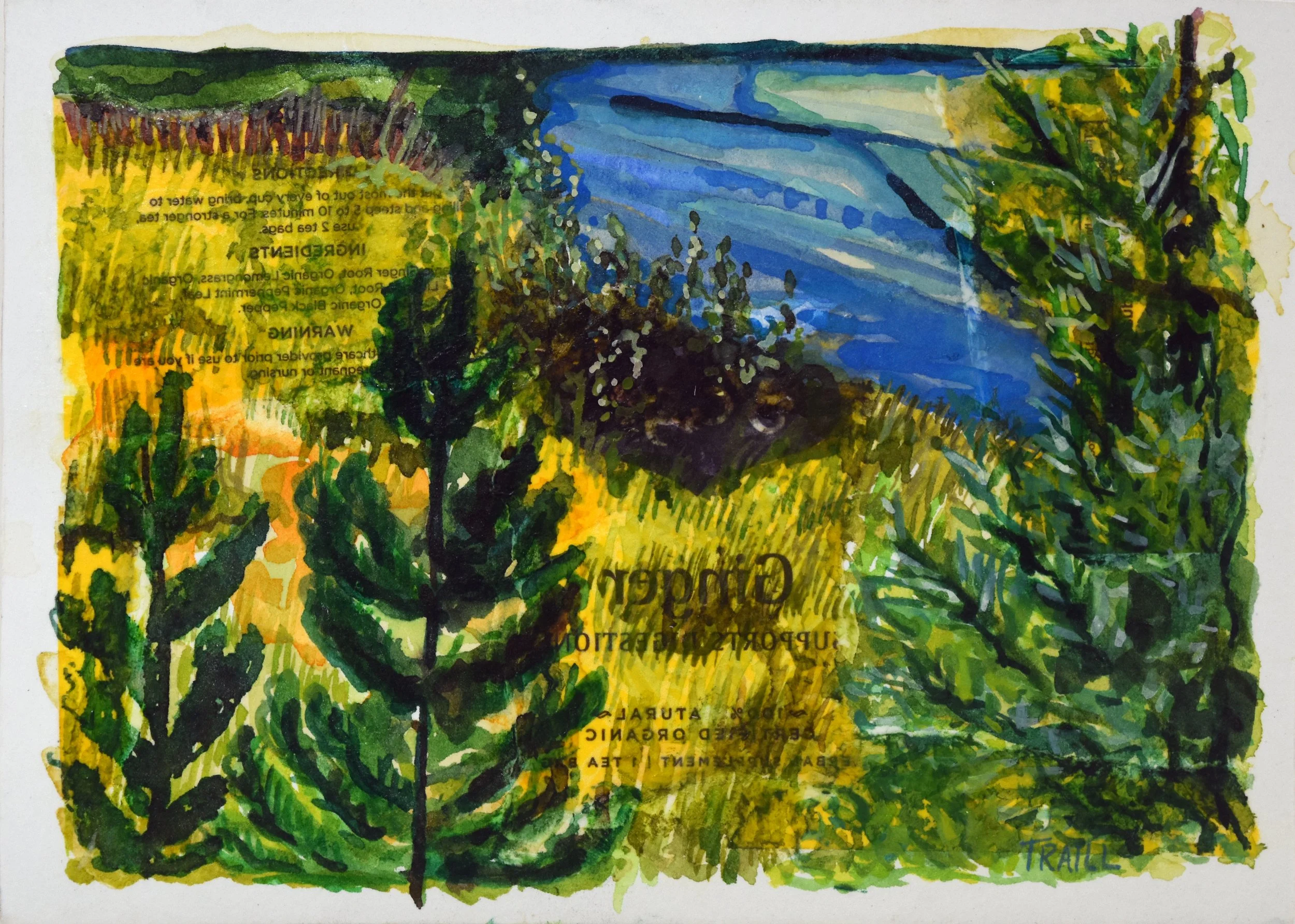 Ginger Water, Mised Media, 7" x 5"