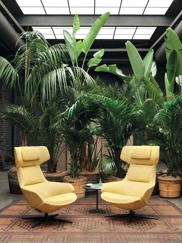 The Aston Lounge by @arper has that unapologetic elegance &mdash; refined lines, effortless posture, and a presence that elevates every environment it lands in. ✨

From private offices to serene lounges to those perfectly quiet corners we all gravita