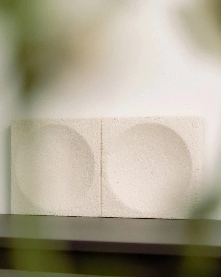 inline_impact-acoustic-mycelium-web Large.jpeg