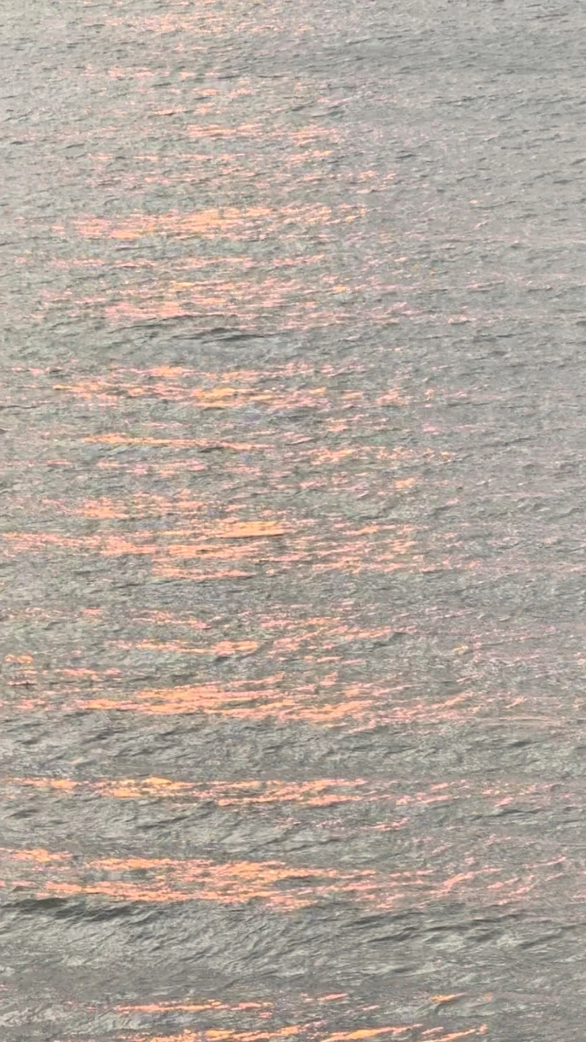 An hour before sunset from Charlie’s field in New Quay. Textures in the sauna window.
-
Always a good idea, whatever the weather π¦οΈ
#wildswimming #sauna #saunabythesea #wildswimwales #coldplunge #mobilesauna #cymru #visitwales #welshcoastpa
