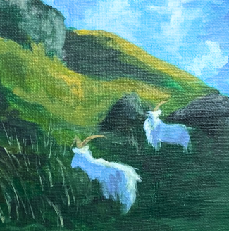 18. Welsh Goats